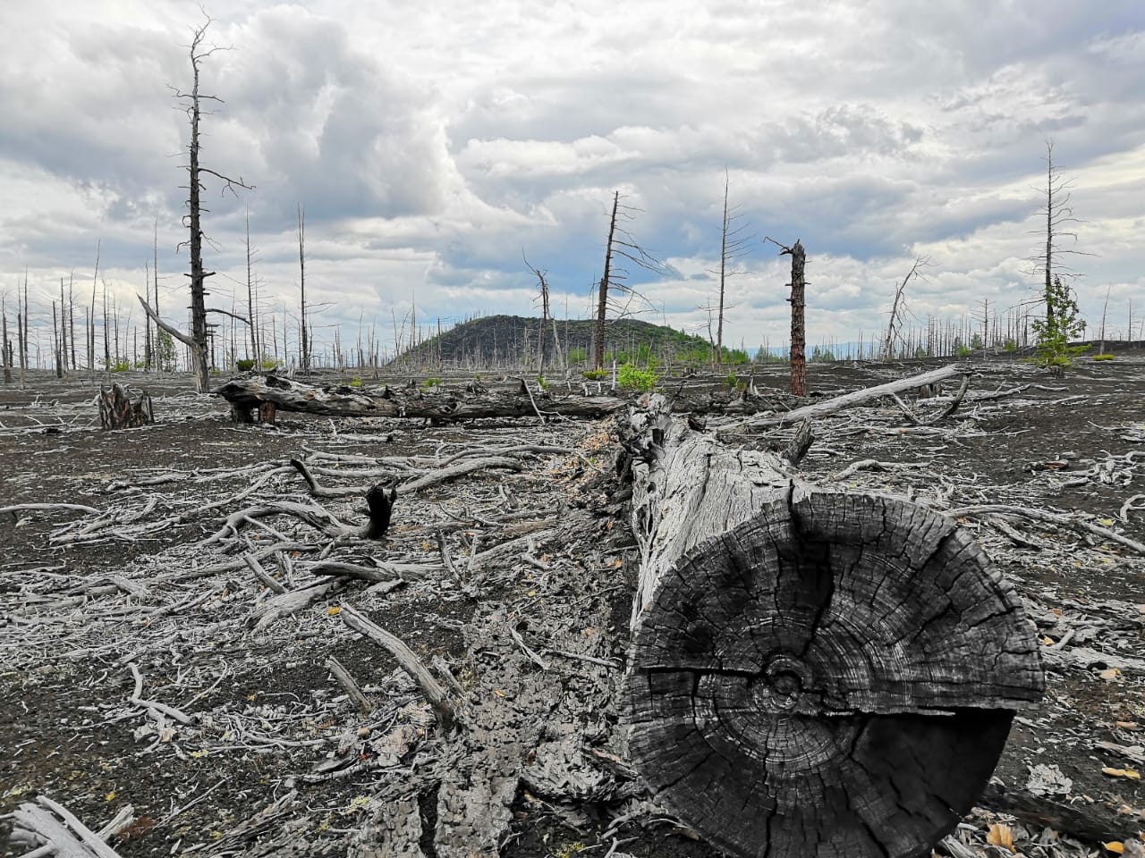 Страна извержений ! Толбачик- другая планета (10/44)