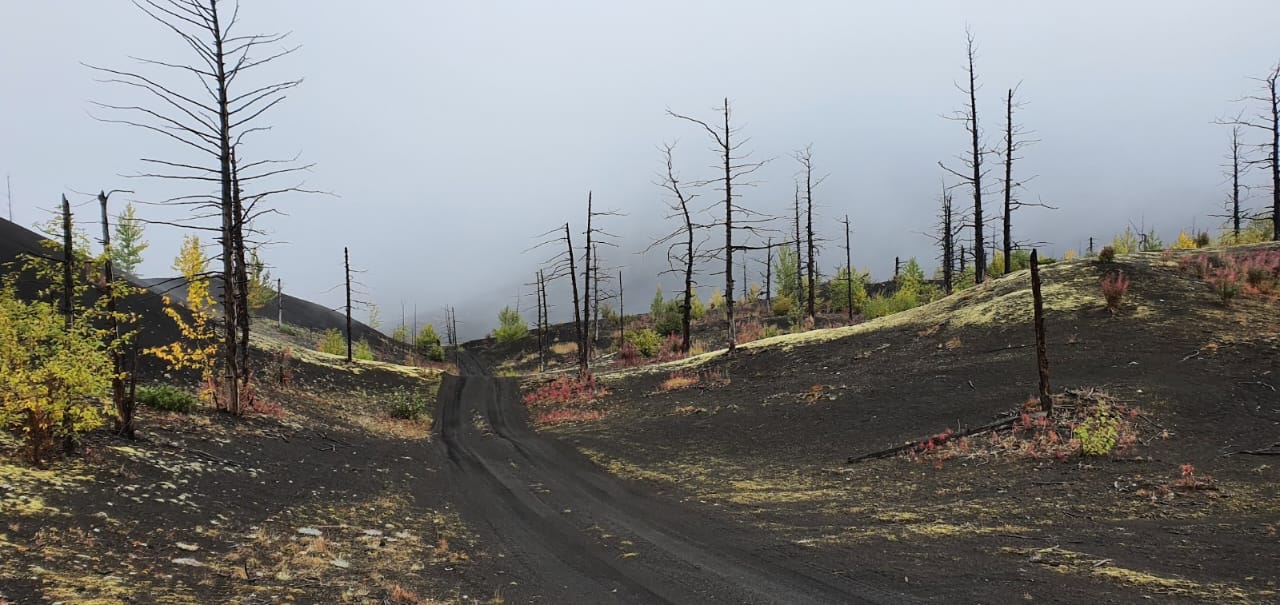 Страна извержений ! Толбачик- другая планета (3/44)