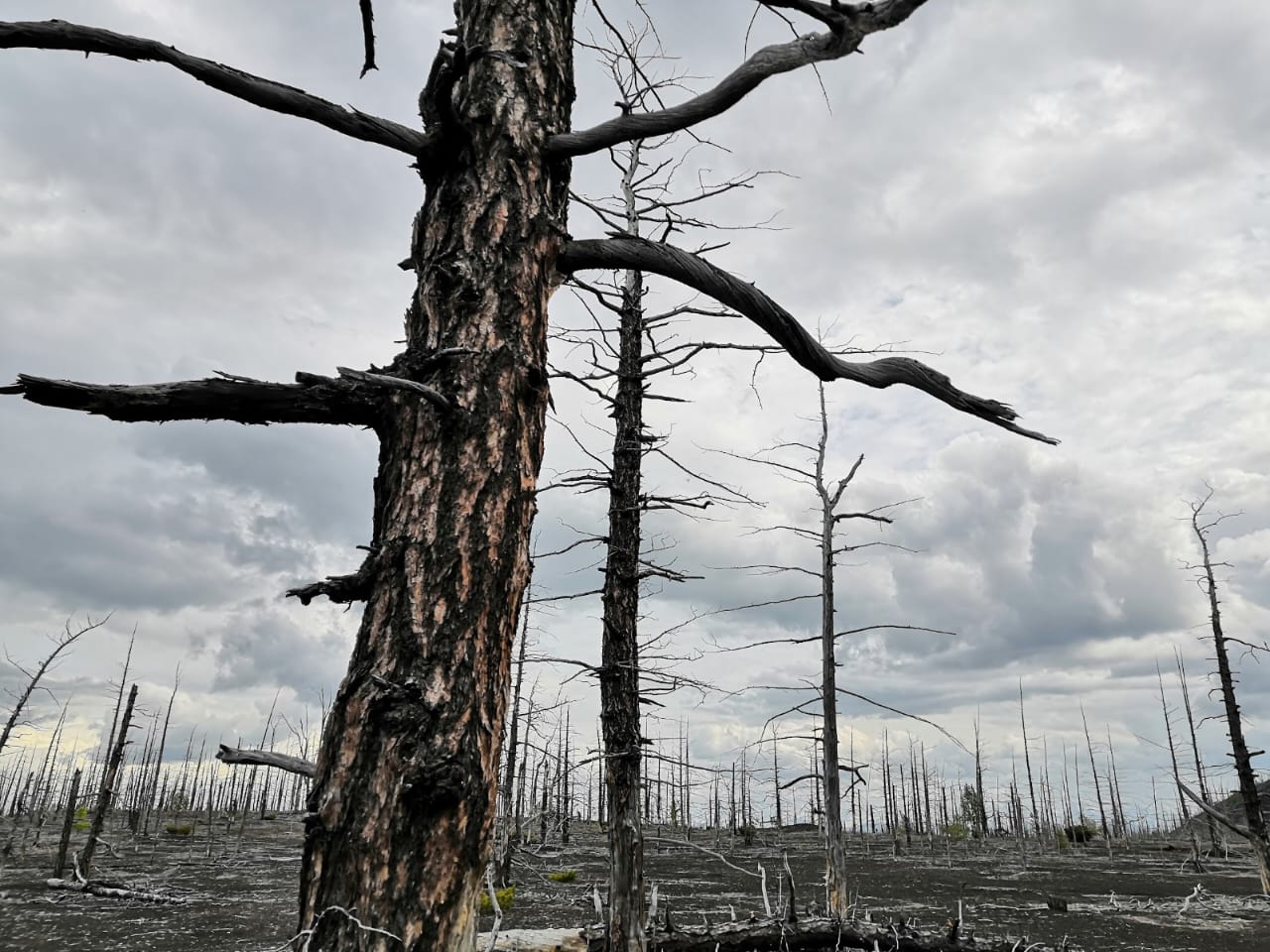 Страна извержений ! Толбачик- другая планета (5/44)