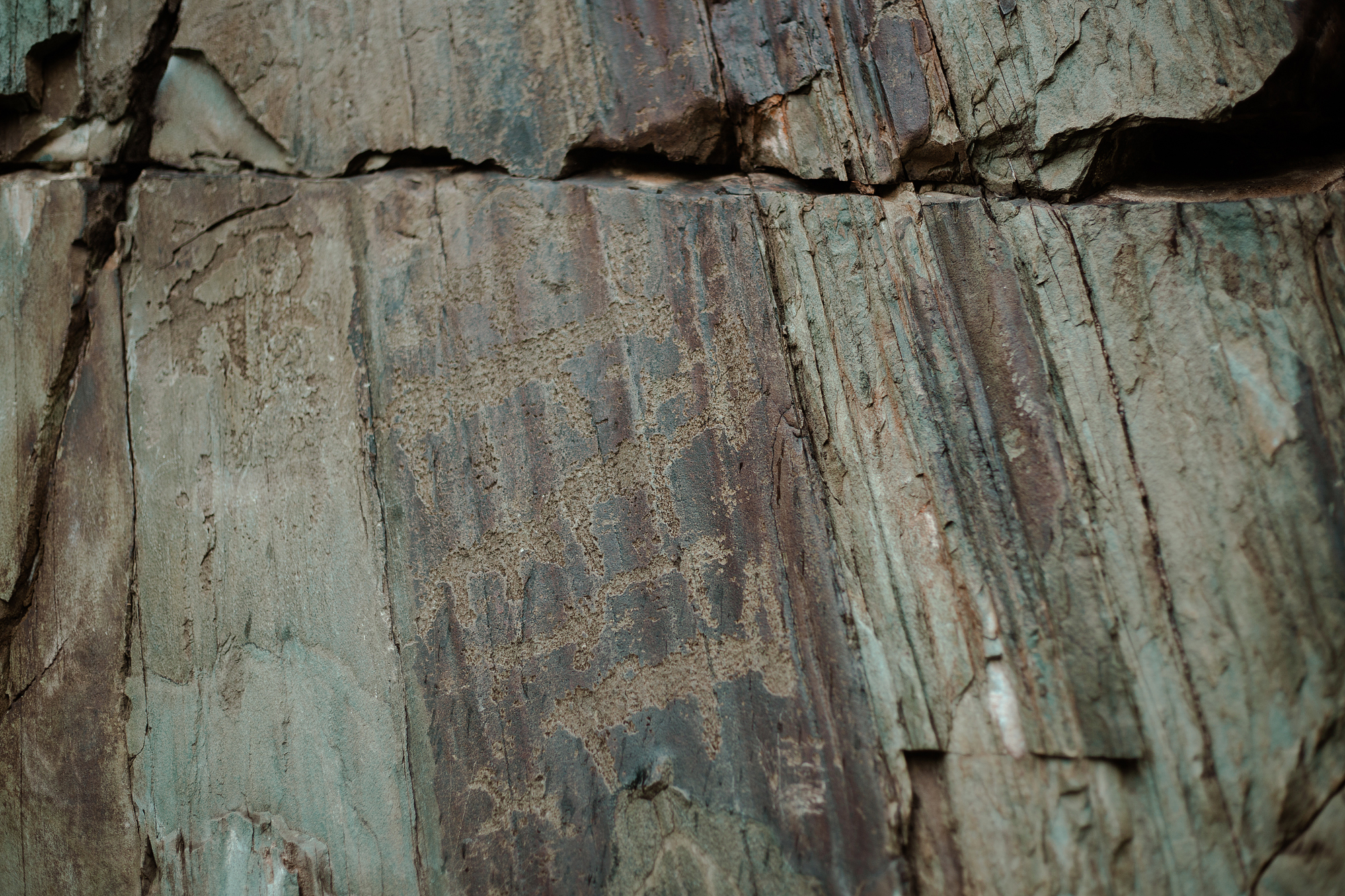 Шелковый Путь Алтая 2026 - Треккинги по восхитительным местам Алтая! (54/69)