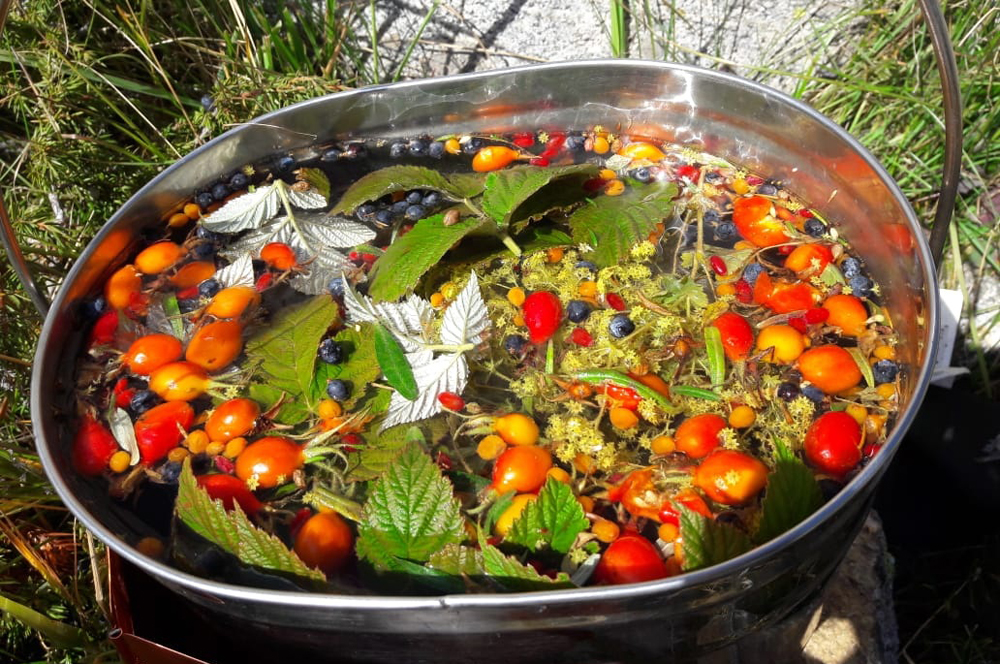 Треккинг в Приэльбрусье без рюкзаков. (31/45)