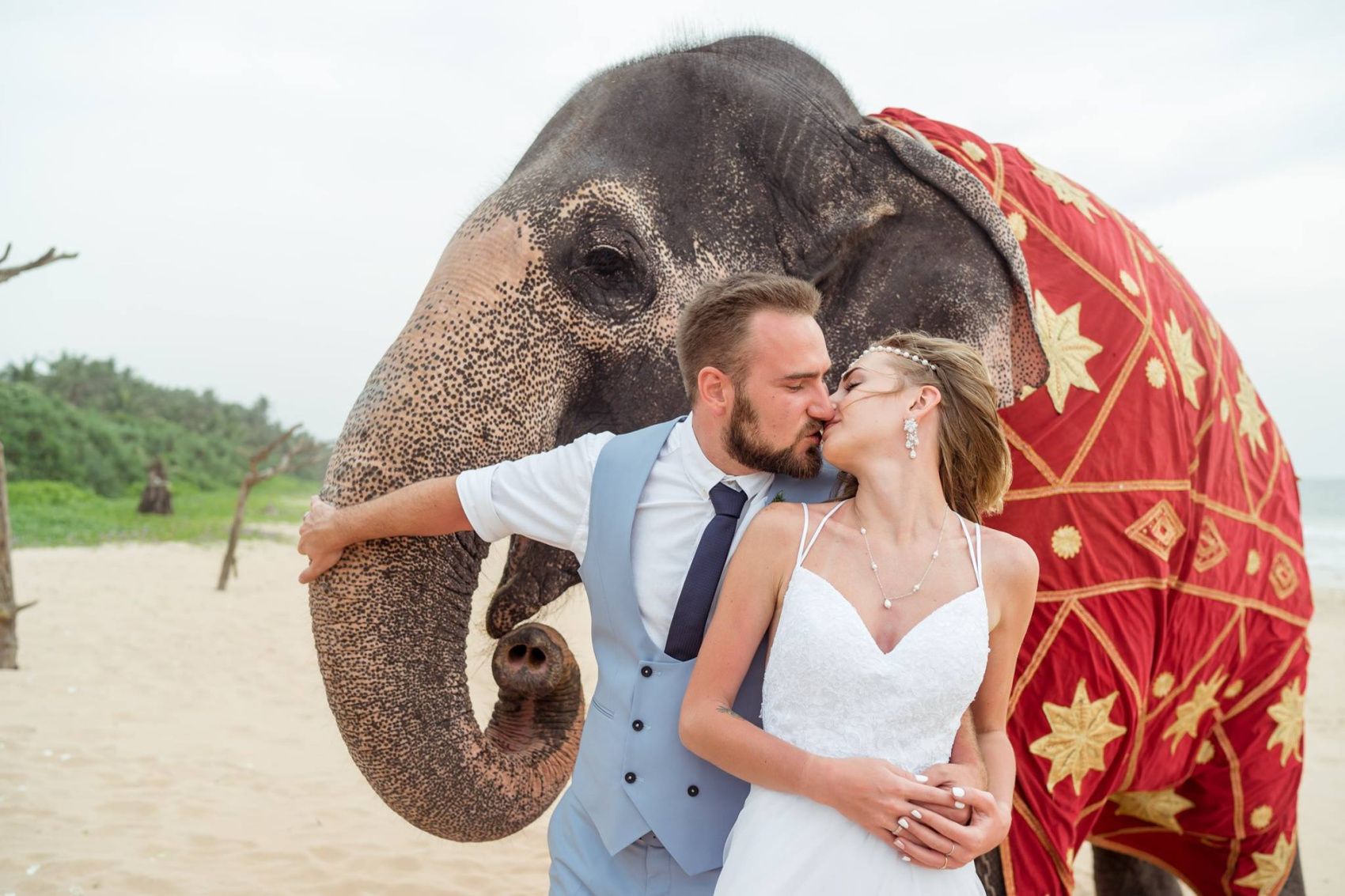 Свадебная Церемония И Путешествия