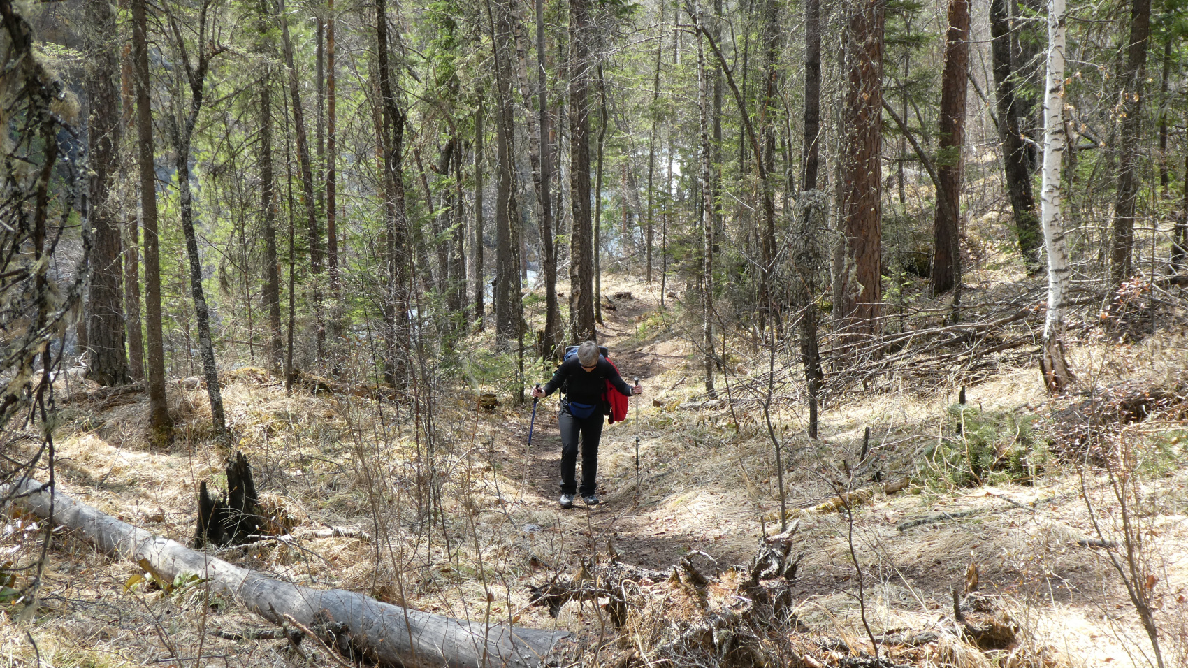 Горный лагерь в Восточных Саянах + Байкал.   (9/49)