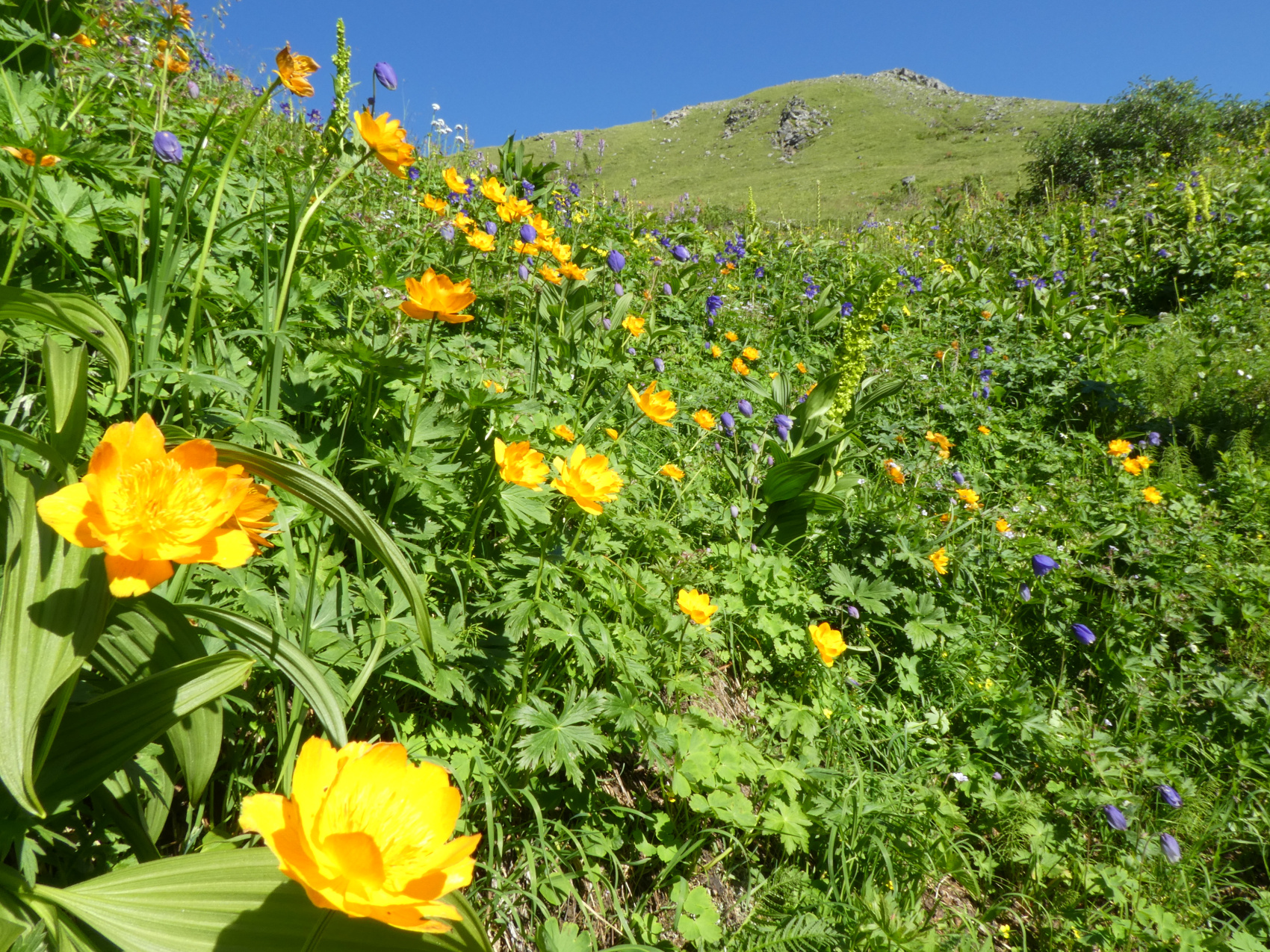 Горный лагерь в Восточных Саянах + Байкал.   (17/49)