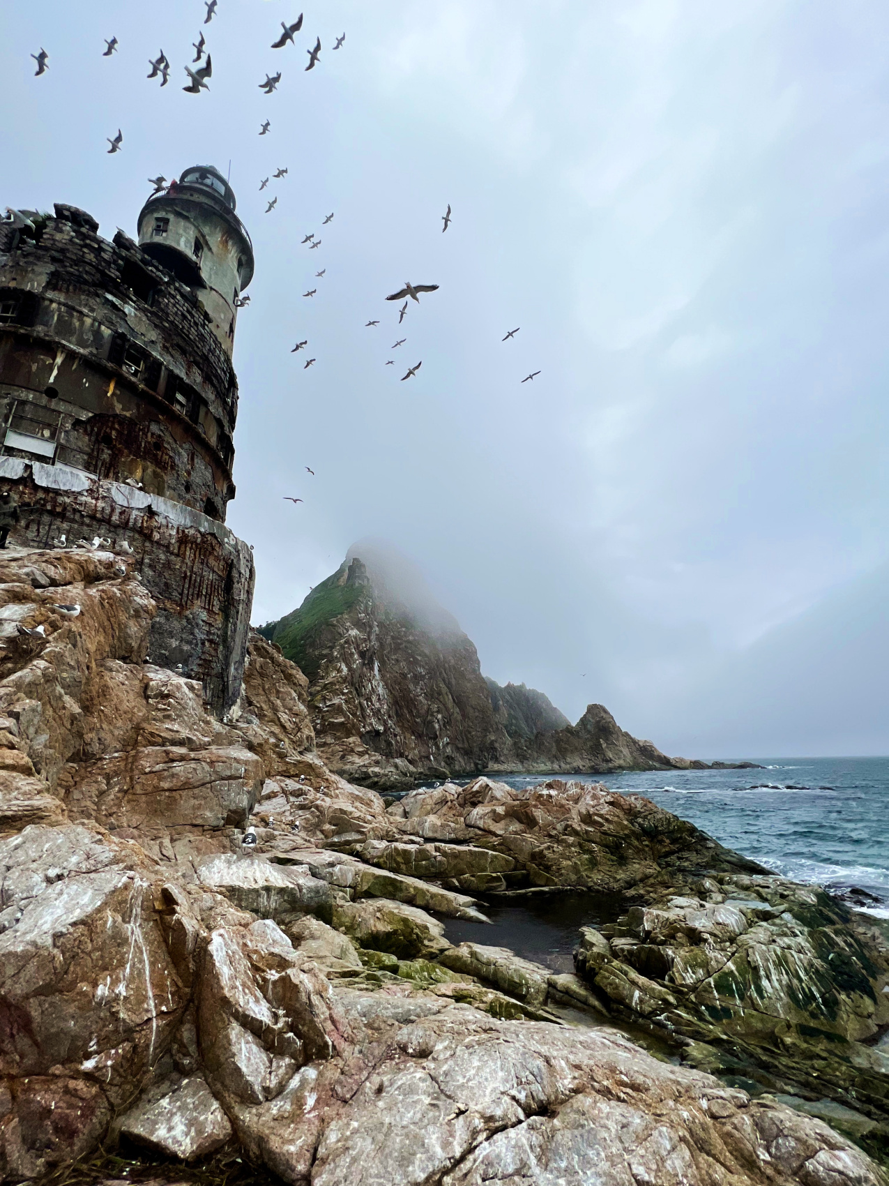 Путешествие в другой мир: Сахалин и Итуруп (11/36)