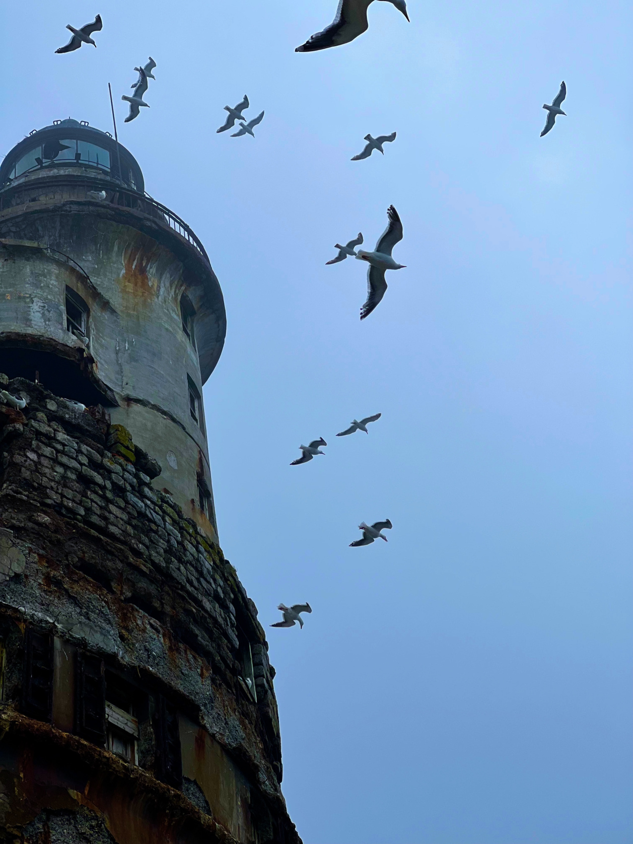 Путешествие в другой мир: Сахалин и Итуруп (10/36)