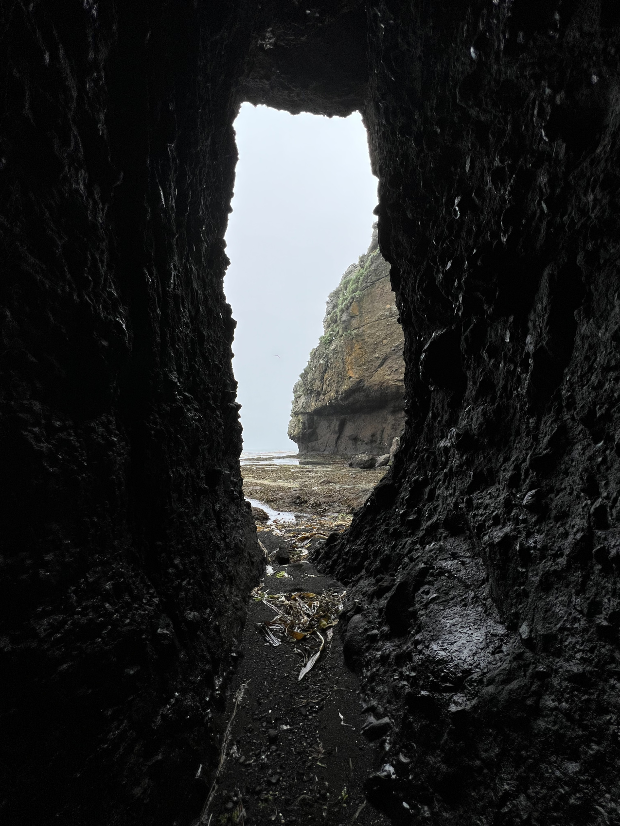 Путешествие в другой мир: Сахалин и Итуруп (4/36)