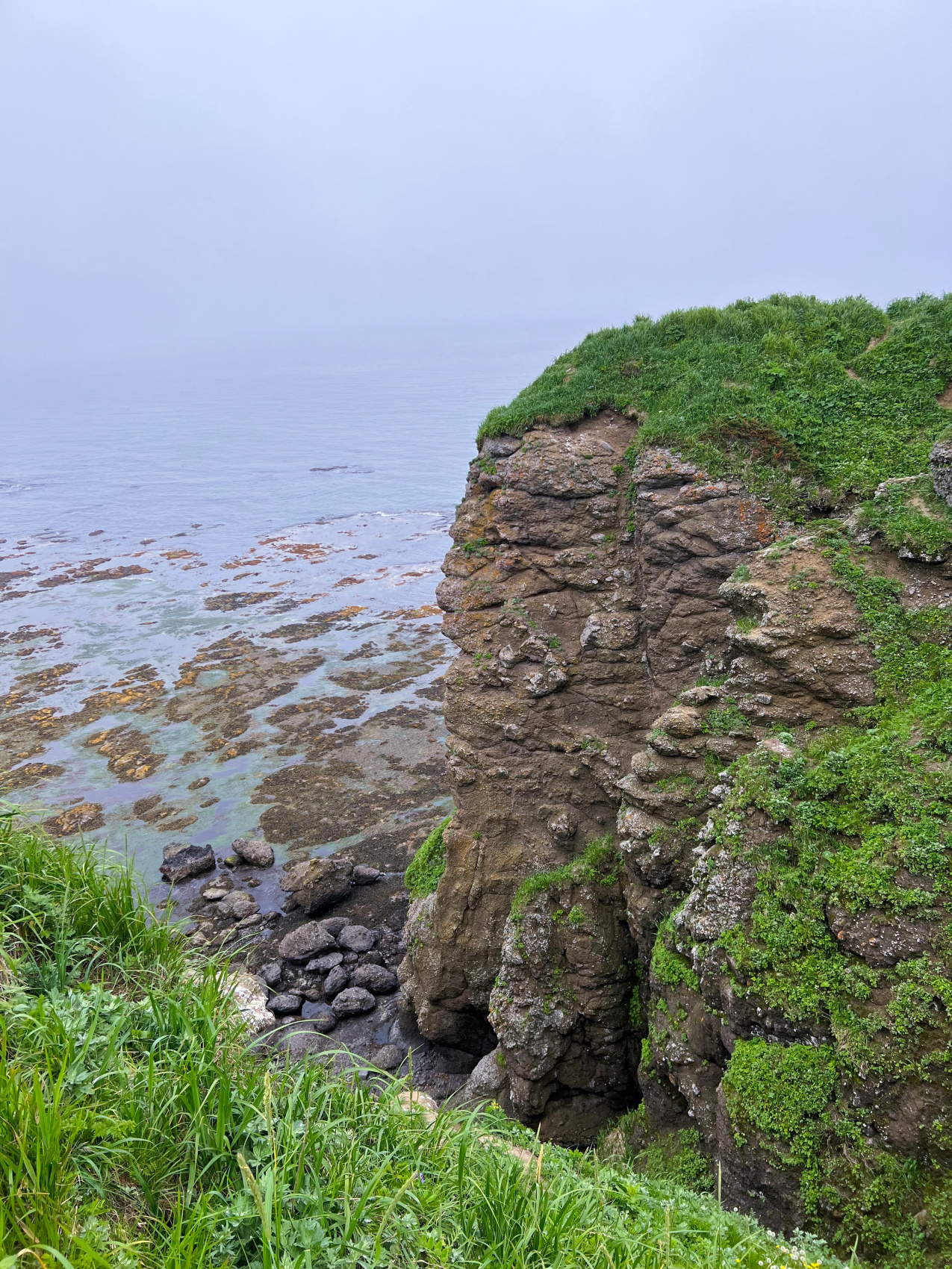 Путешествие в другой мир: Сахалин и Итуруп (14/36)
