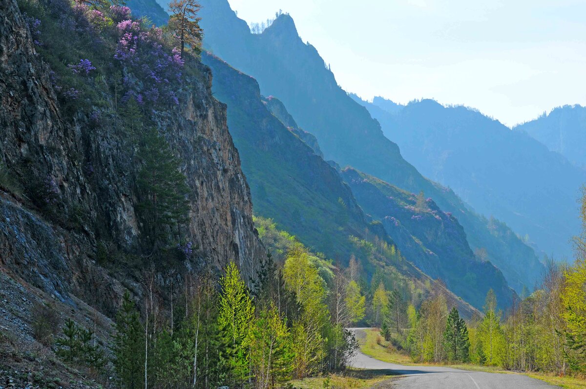 Алтайские Приключения Зачемалья 2026 - Патмос, Сплав, Водопады (9/12)