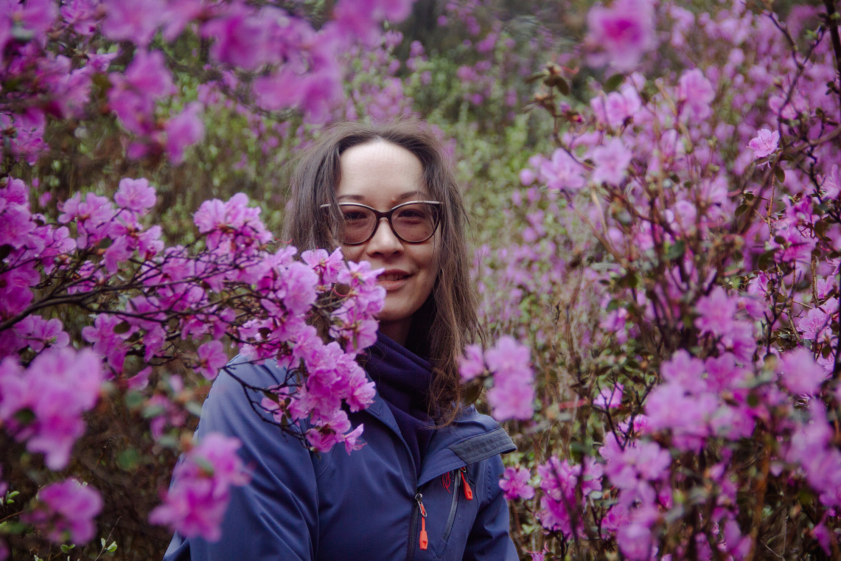 Цветение Маральника В Чемале - 2026. Чемал, Катунь, конные прогулки, пещеры.