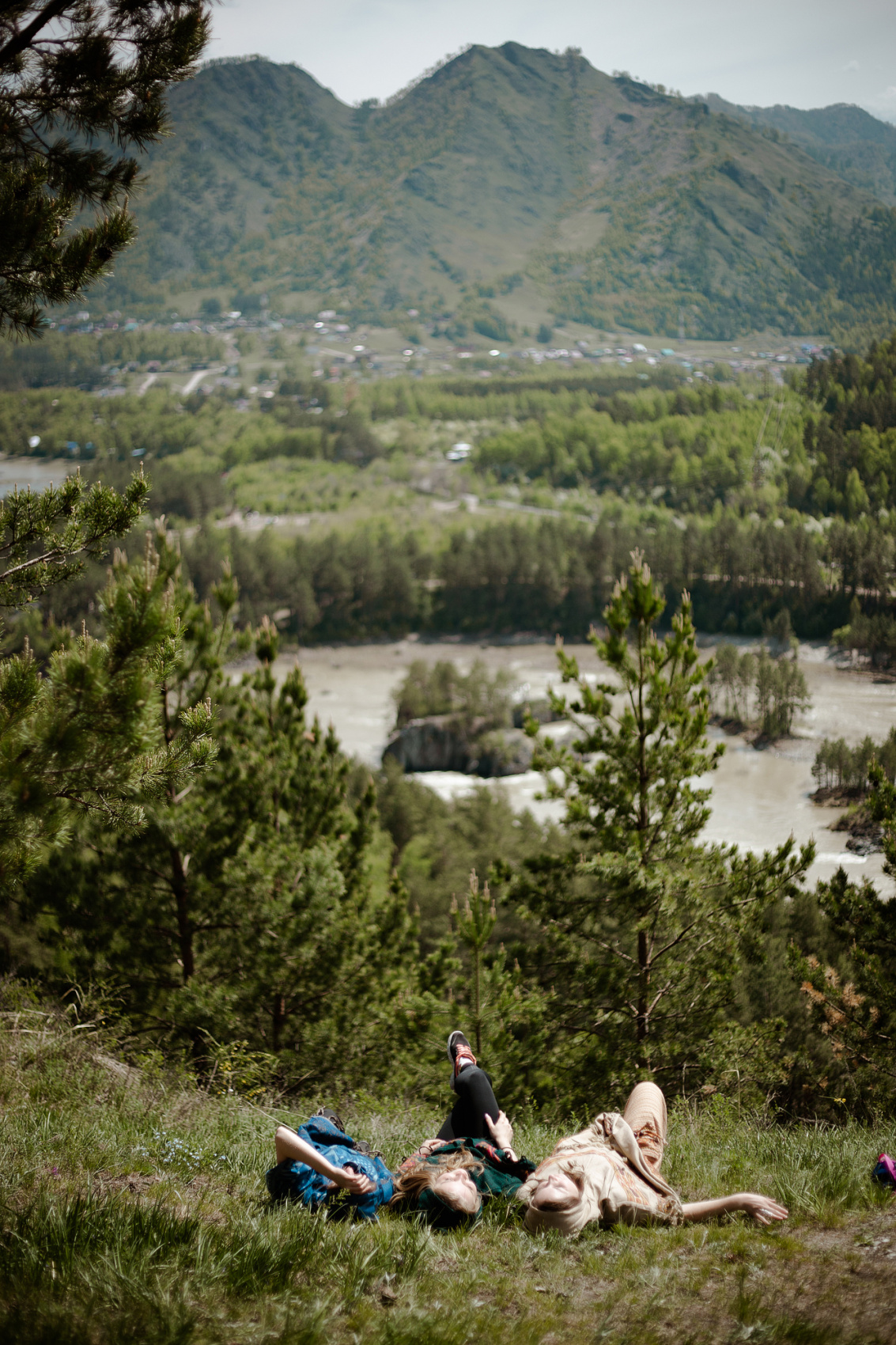 Цветение Маральника В Чемале - 2026. Чемал, Катунь, конные прогулки, пещеры. (59/81)