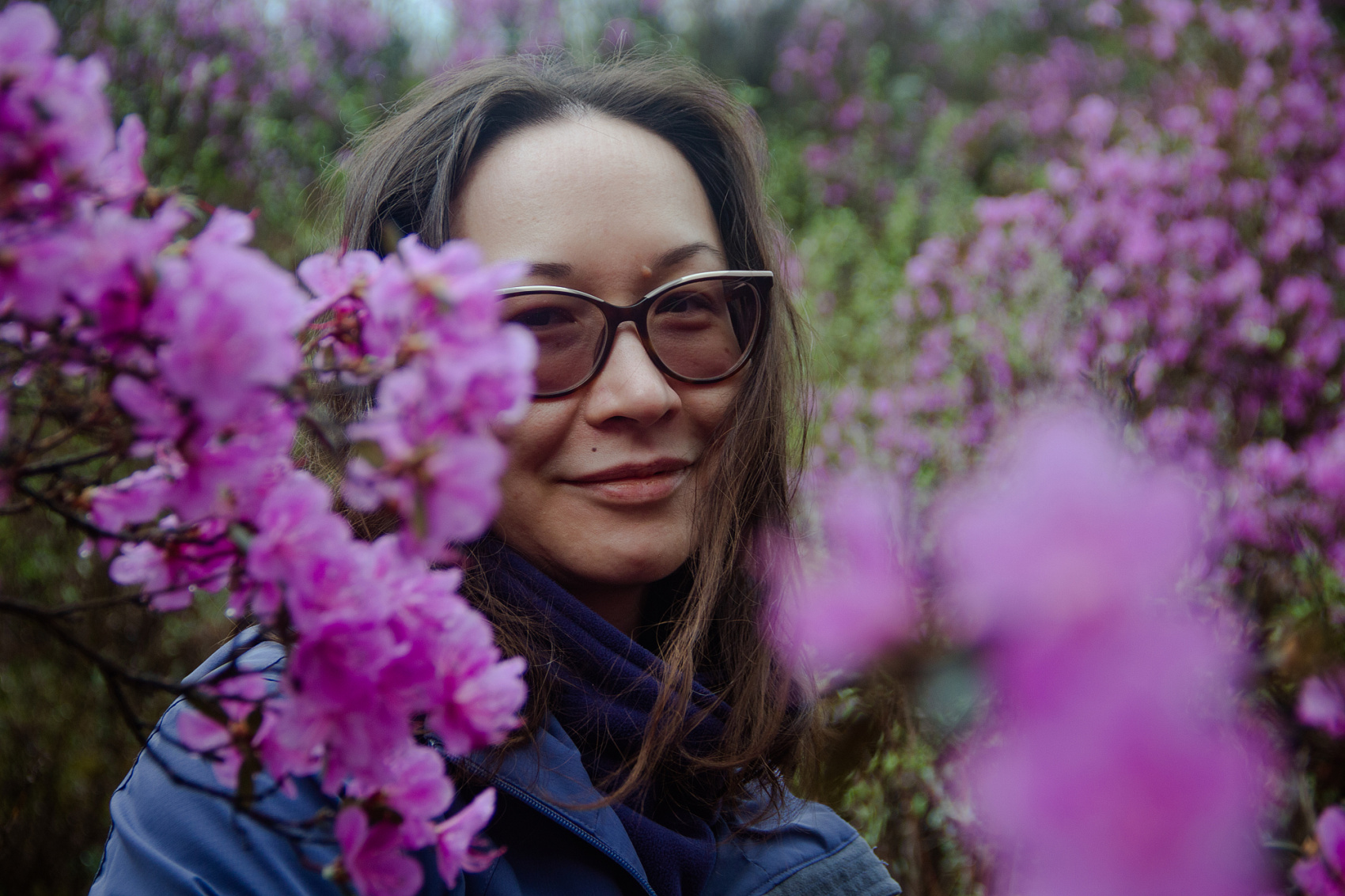 Цветение Маральника В Чемале - 2026. Чемал, Катунь, конные прогулки, пещеры. (16/81)