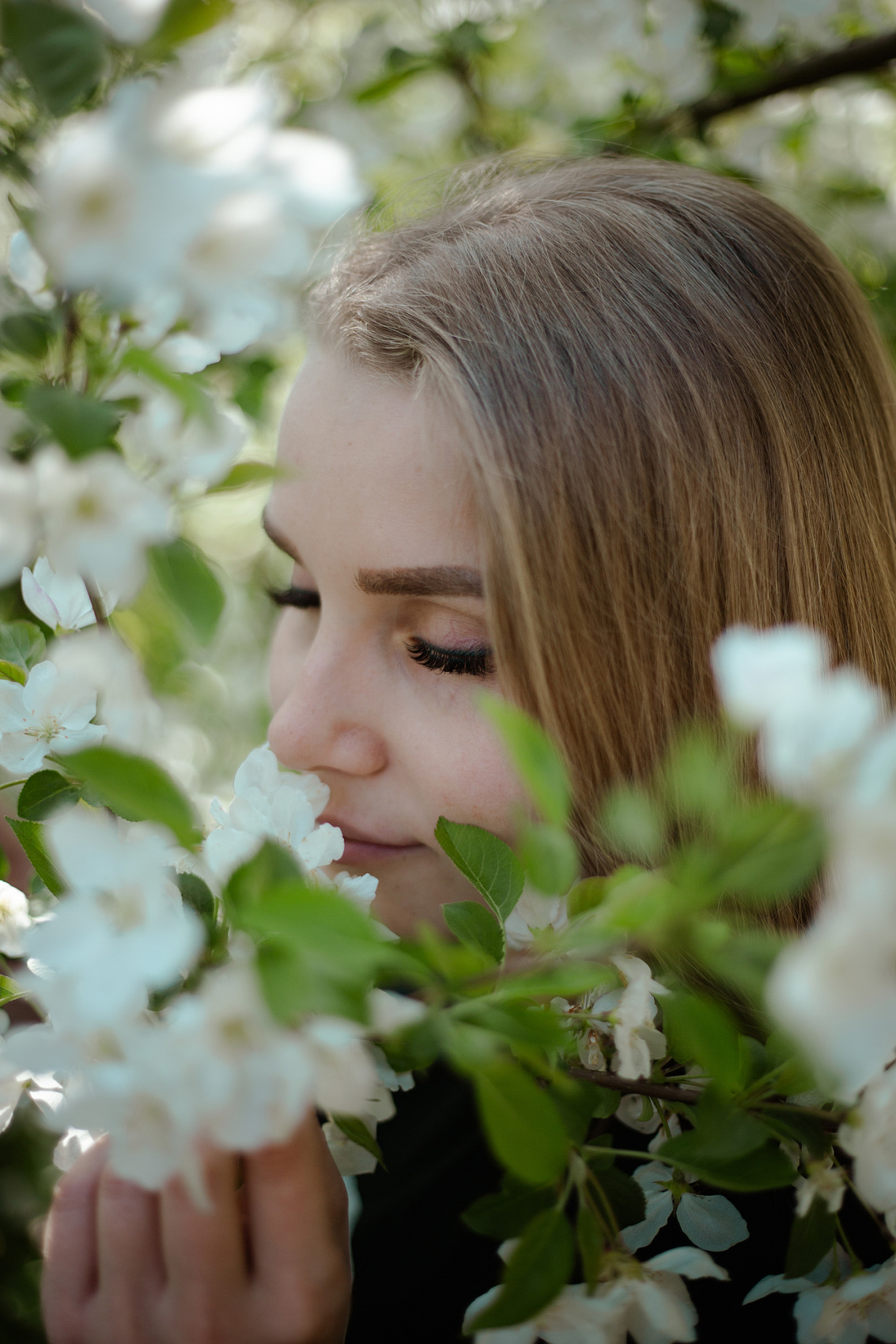 Цветение Маральника В Чемале - 2026. Чемал, Катунь, конные прогулки, пещеры. (48/81)