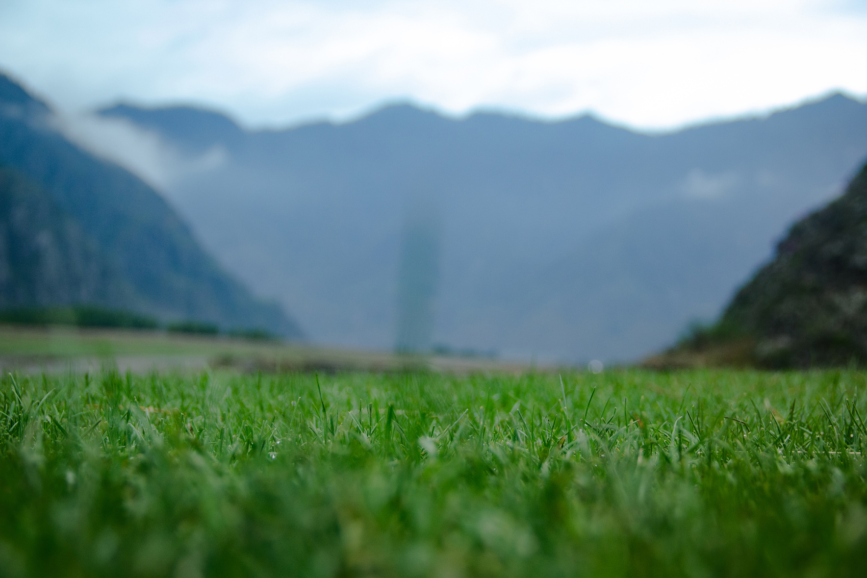 Цветение Маральника В Чемале - 2026. Чемал, Катунь, конные прогулки, пещеры. (29/81)