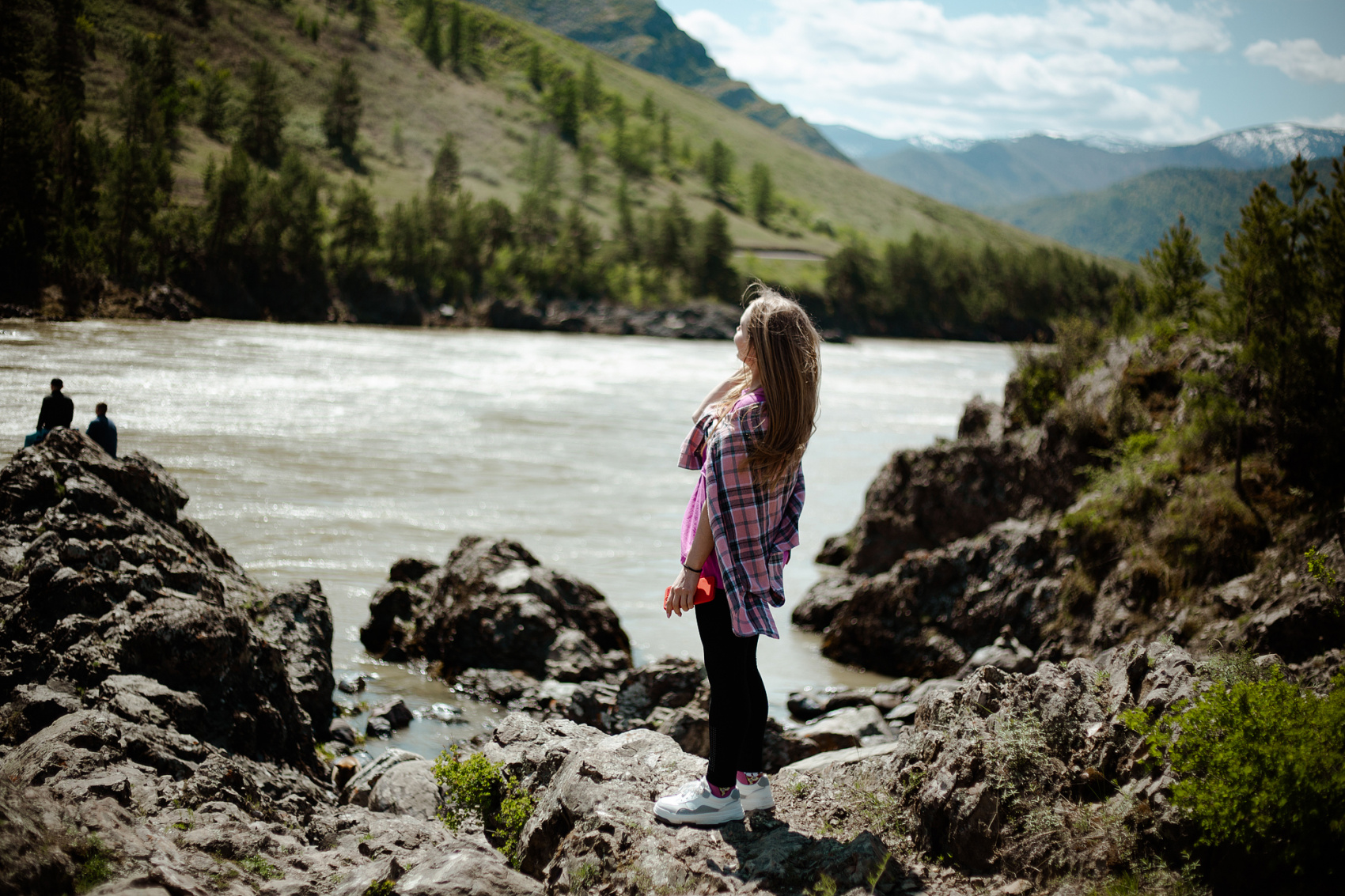 Цветение Маральника В Чемале - 2026. Чемал, Катунь, конные прогулки, пещеры. (53/81)