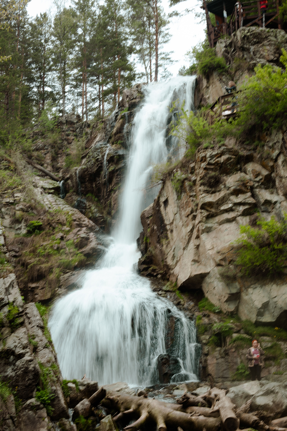 Цветение Маральника В Чемале - 2026. Чемал, Катунь, конные прогулки, пещеры. (68/81)