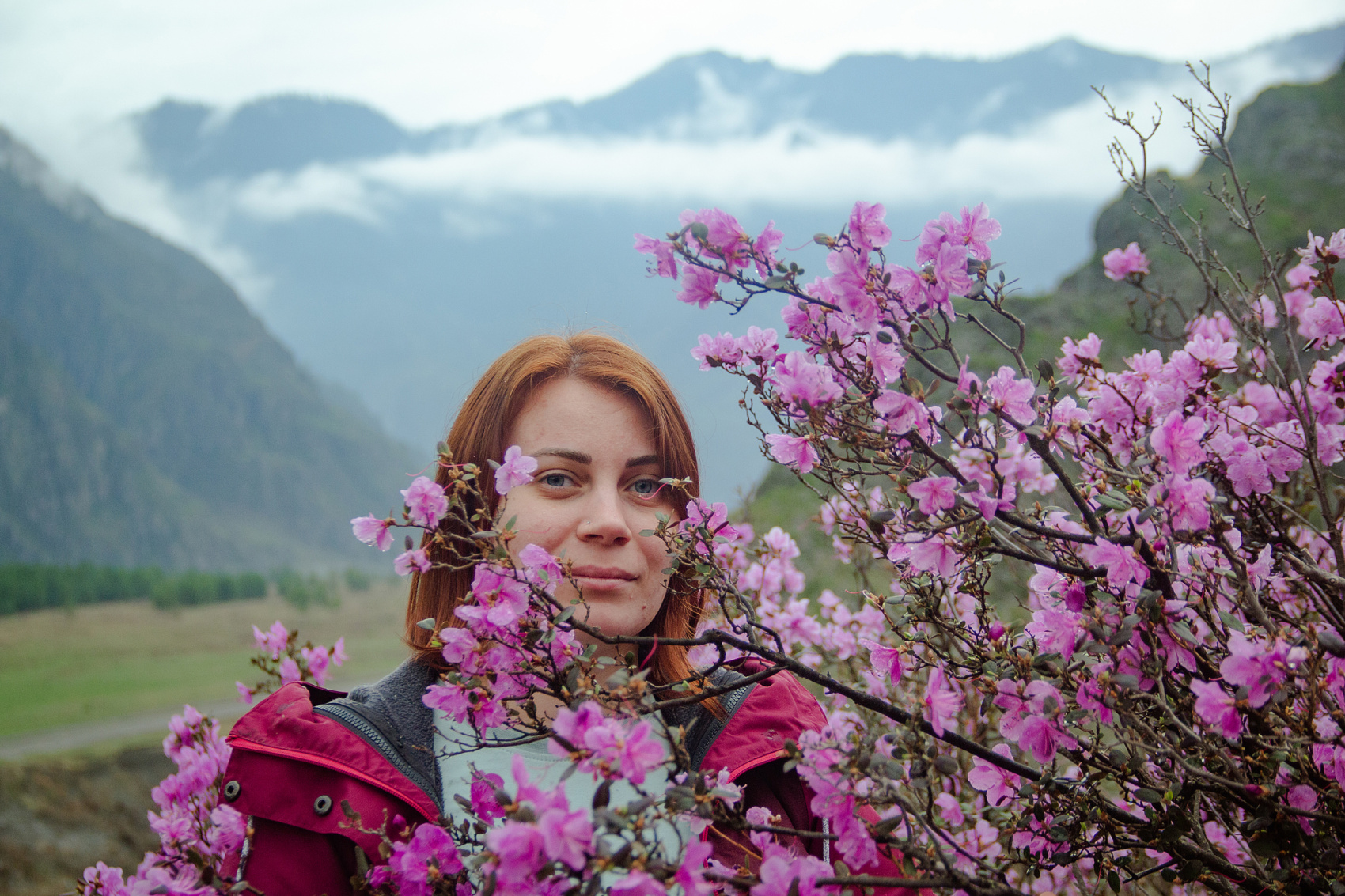 Цветение Маральника В Чемале - 2026. Чемал, Катунь, конные прогулки, пещеры. (24/81)