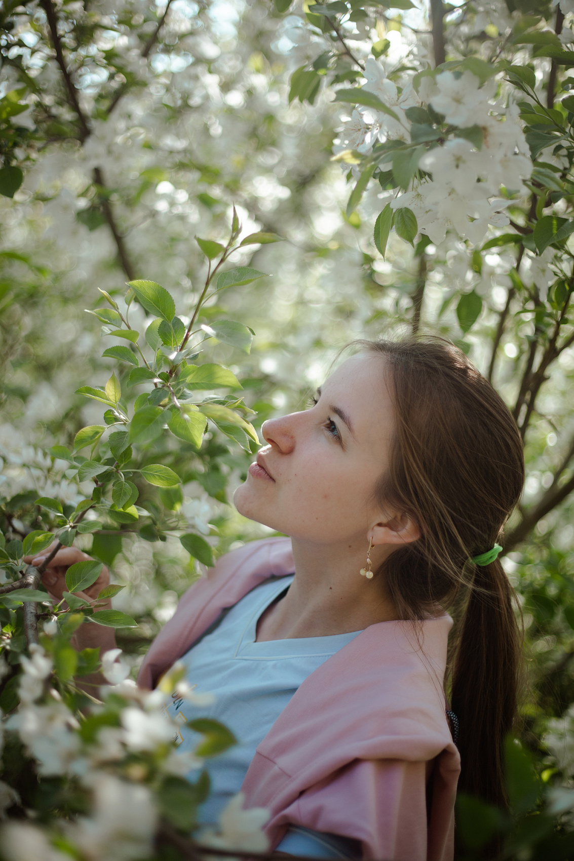 Цветение Маральника В Чемале - 2026. Чемал, Катунь, конные прогулки, пещеры. (47/81)