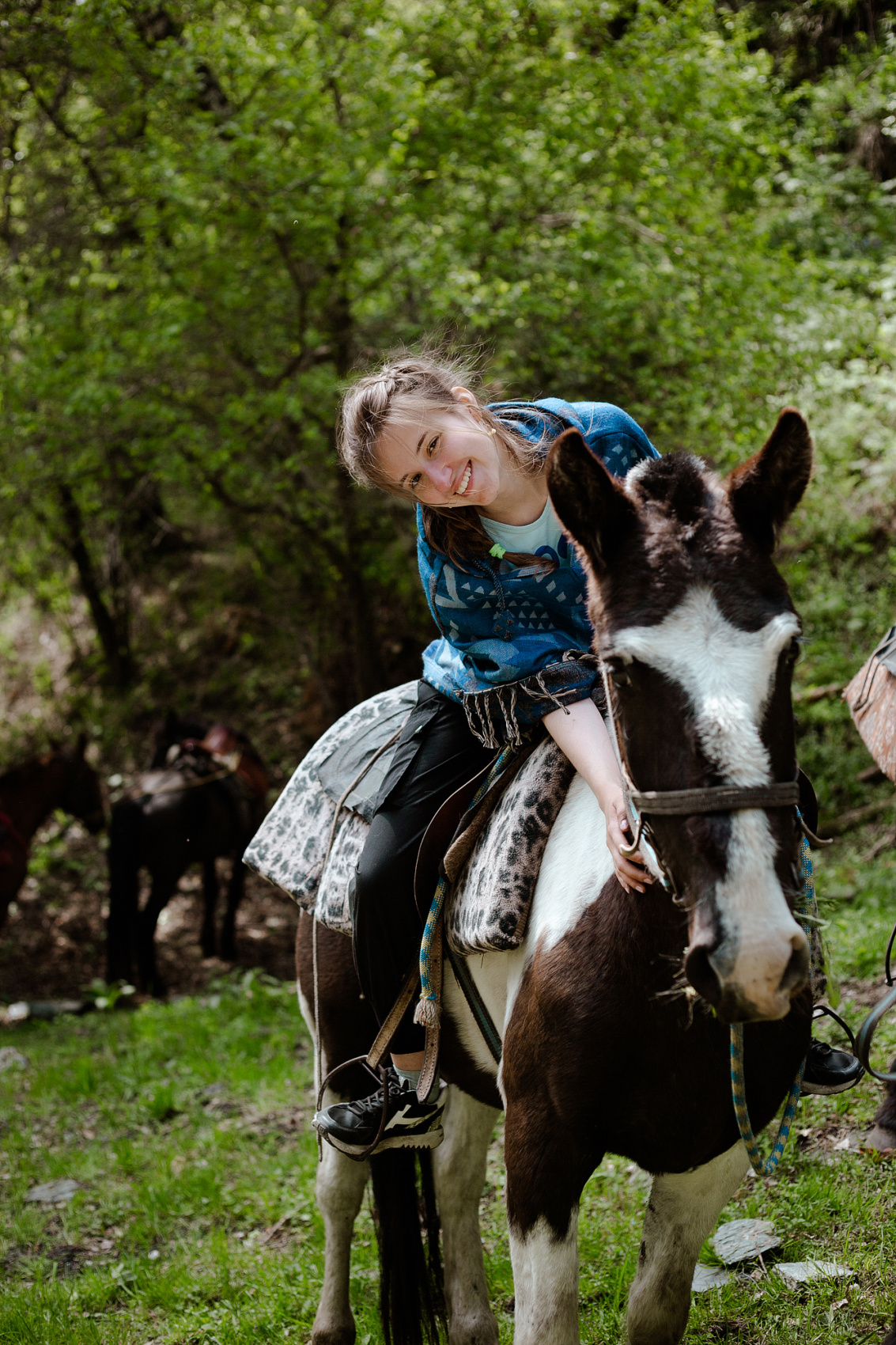 Цветение Маральника В Чемале - 2026. Чемал, Катунь, конные прогулки, пещеры. (63/81)