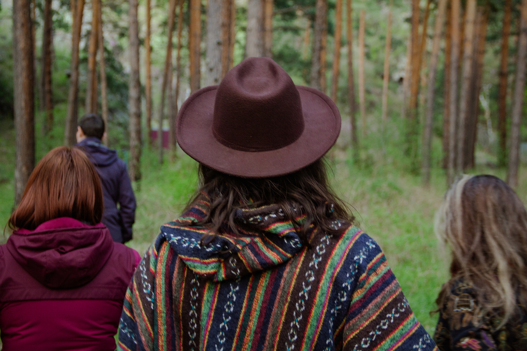 Цветение Маральника В Чемале - 2026. Чемал, Катунь, конные прогулки, пещеры. (30/81)