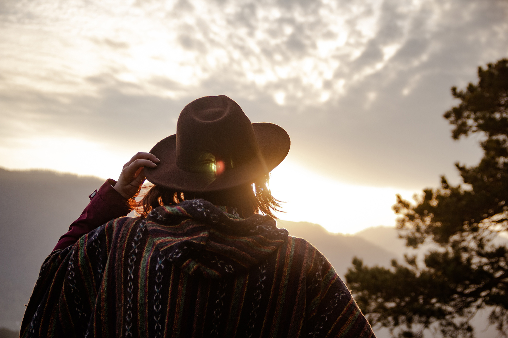 Цветение Маральника В Чемале - 2026. Чемал, Катунь, конные прогулки, пещеры. (34/81)