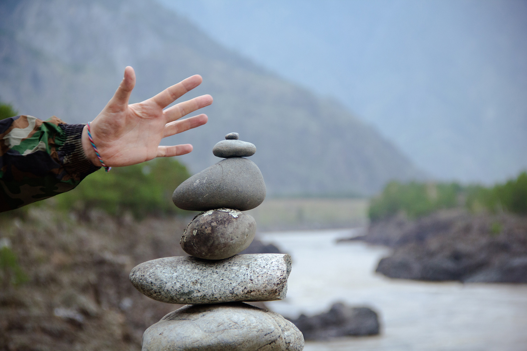 Цветение Маральника В Чемале - 2026. Чемал, Катунь, конные прогулки, пещеры. (8/81)