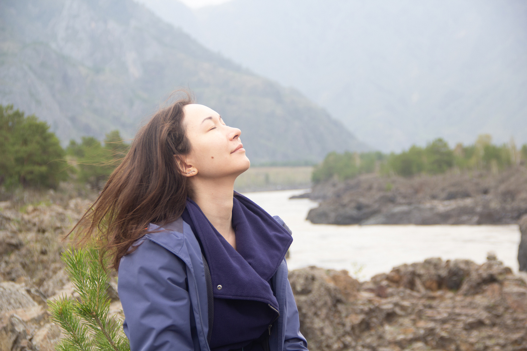 Цветение Маральника В Чемале - 2026. Чемал, Катунь, конные прогулки, пещеры. (15/81)