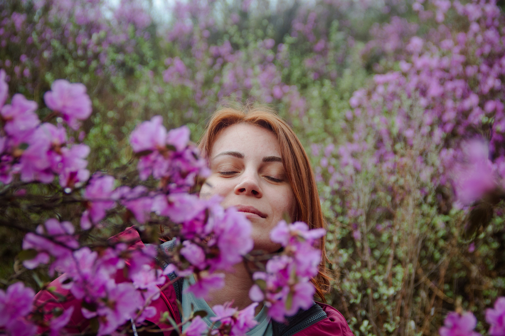 Цветение Маральника В Чемале - 2026. Чемал, Катунь, конные прогулки, пещеры. (19/81)