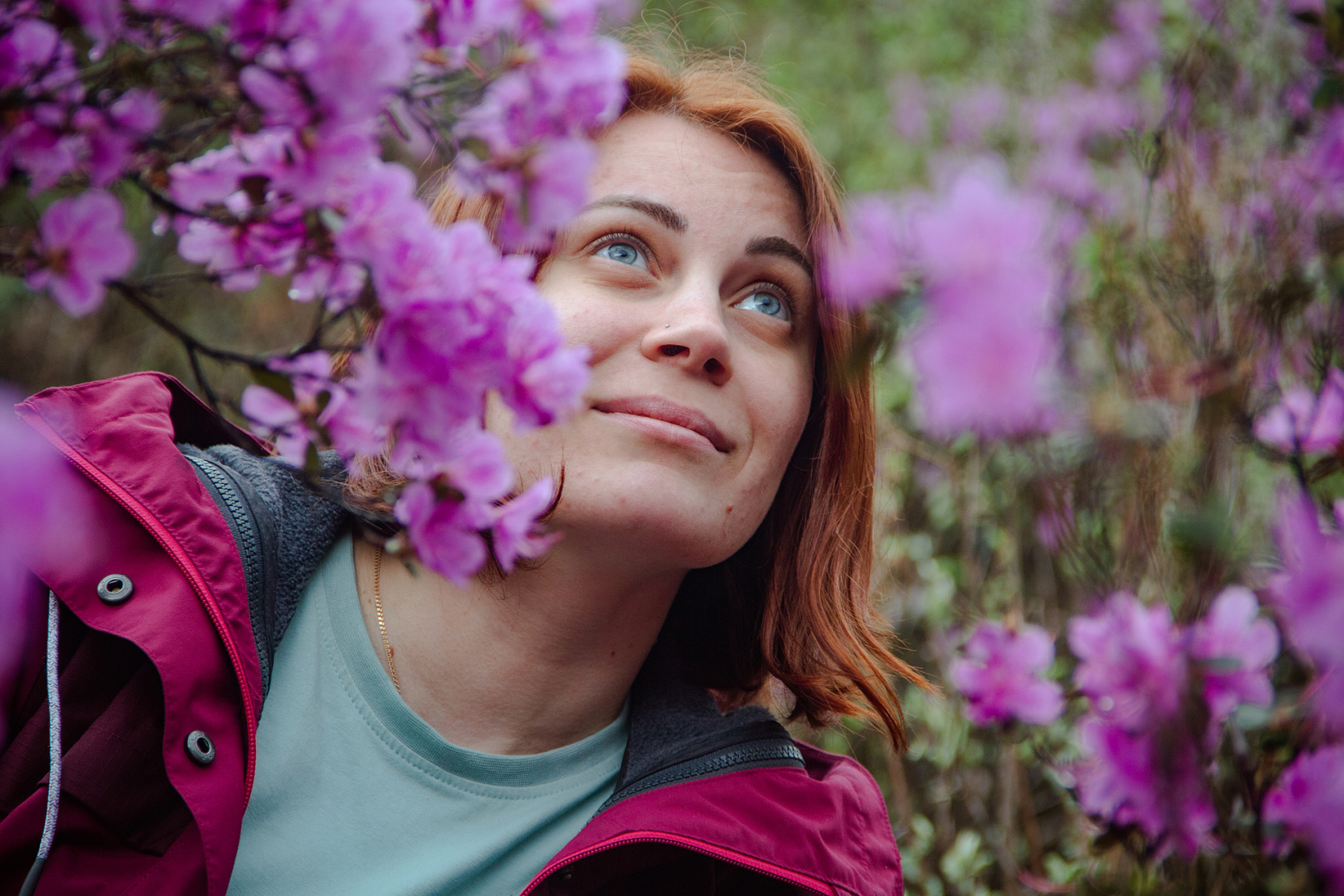 Цветение Маральника В Чемале - 2026. Чемал, Катунь, конные прогулки, пещеры. (18/81)