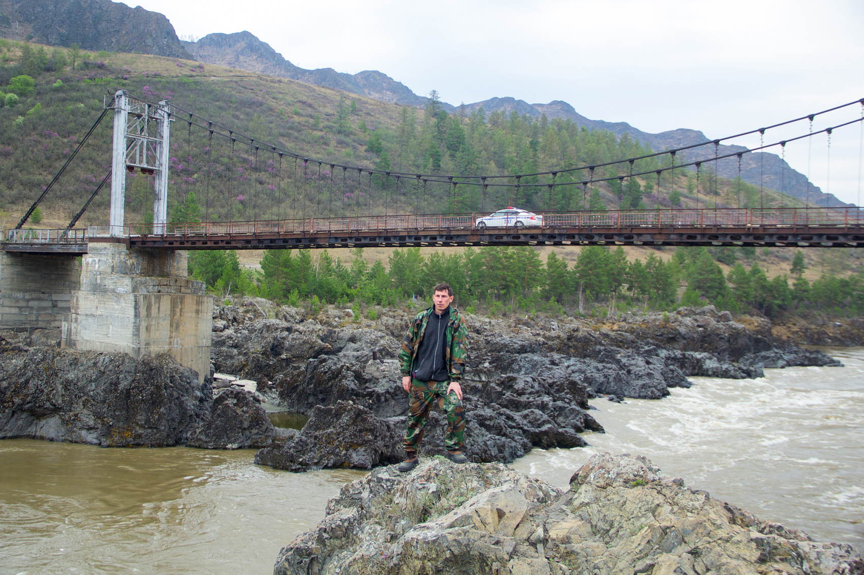 Цветение Маральника В Чемале - 2026. Чемал, Катунь, конные прогулки, пещеры. (3/81)