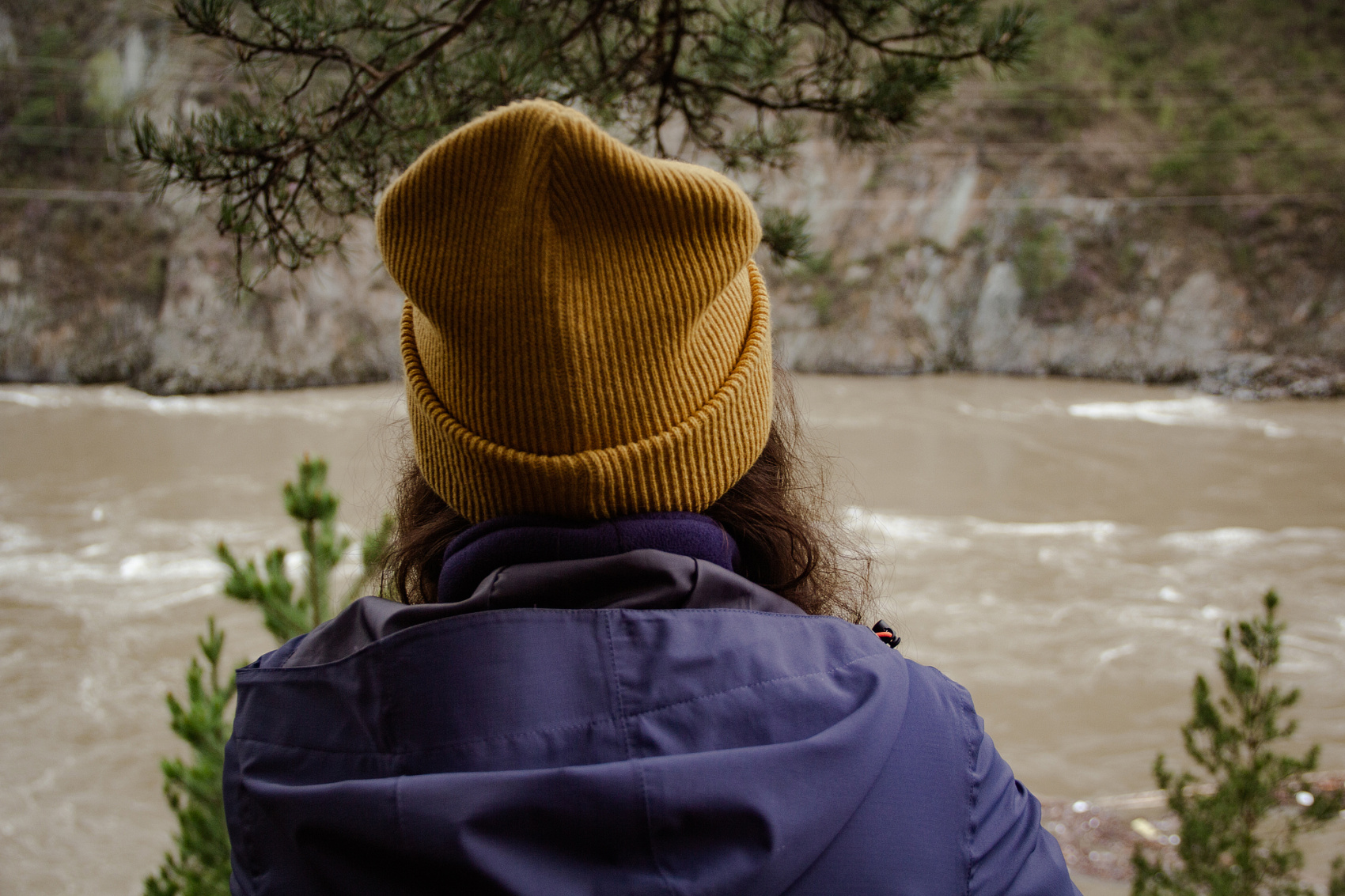 Цветение Маральника В Чемале - 2026. Чемал, Катунь, конные прогулки, пещеры. (38/81)