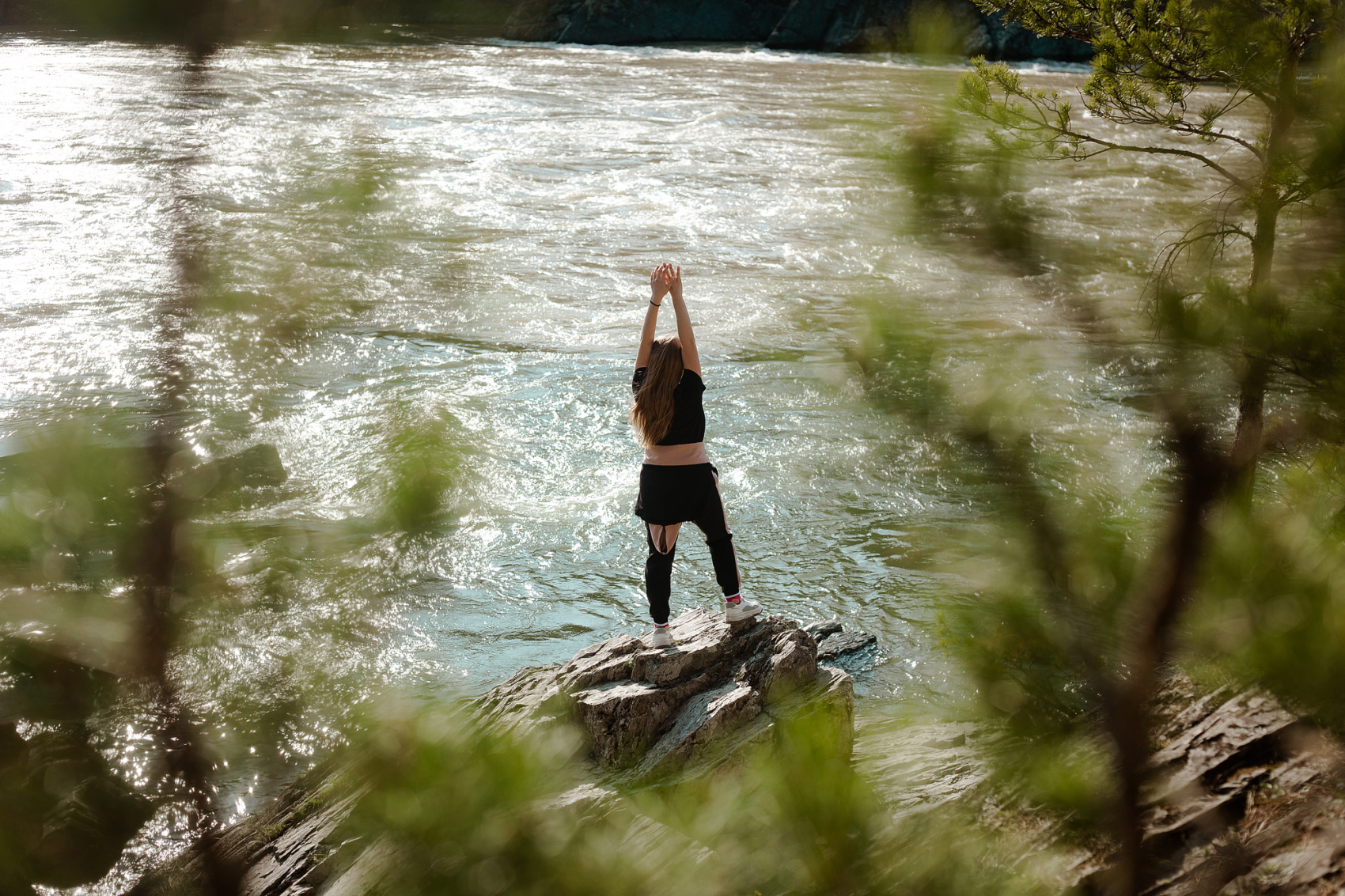 Цветение Маральника В Чемале - 2026. Чемал, Катунь, конные прогулки, пещеры. (44/81)