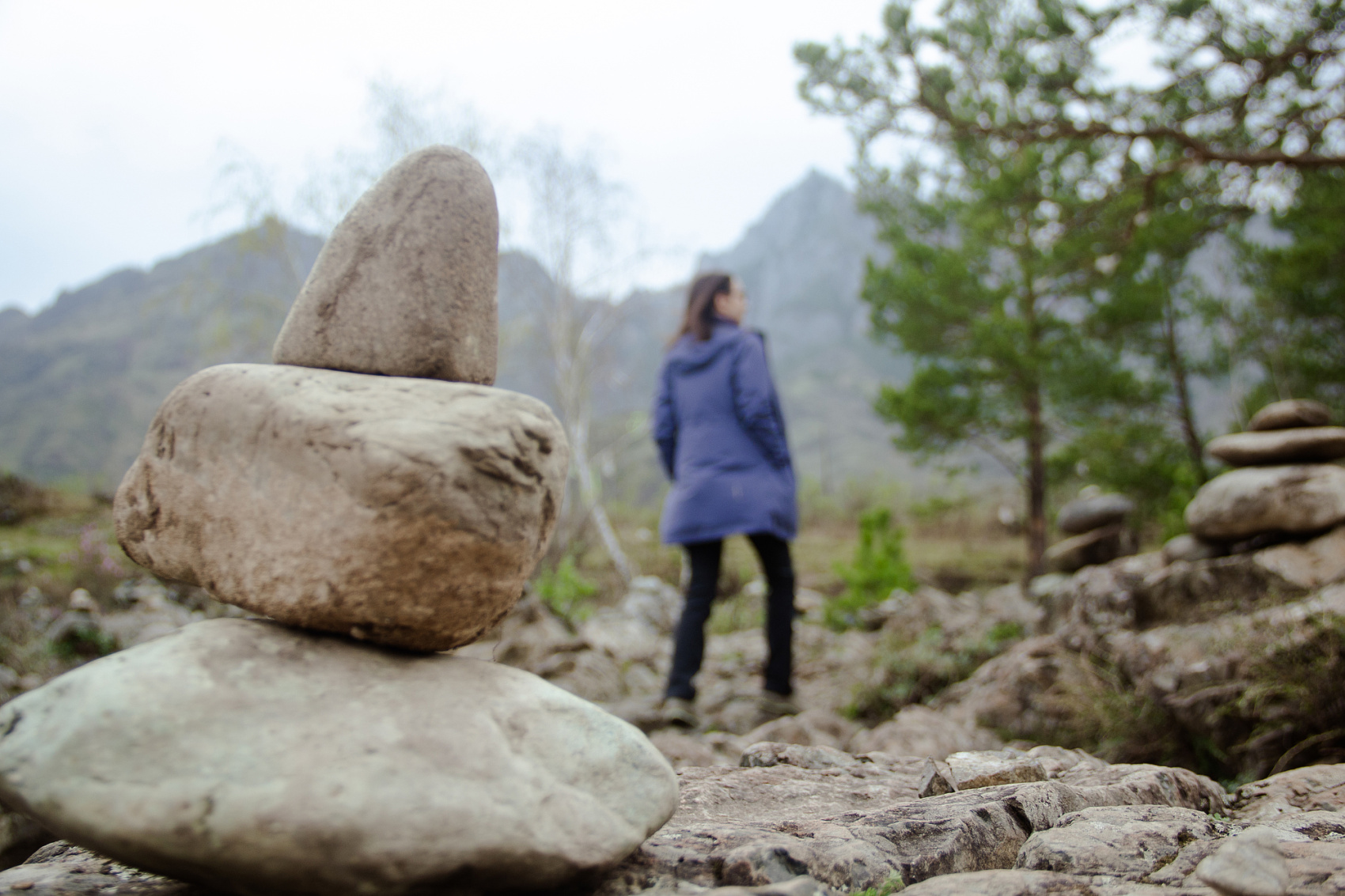 Цветение Маральника В Чемале - 2026. Чемал, Катунь, конные прогулки, пещеры. (4/81)