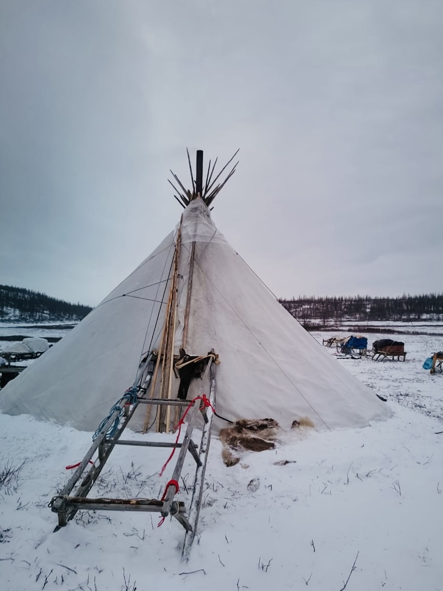 Ямал: ночь в чуме у оленеводов, северное сияние, перемещение на Трэколе, парк Ингилор (4/19)