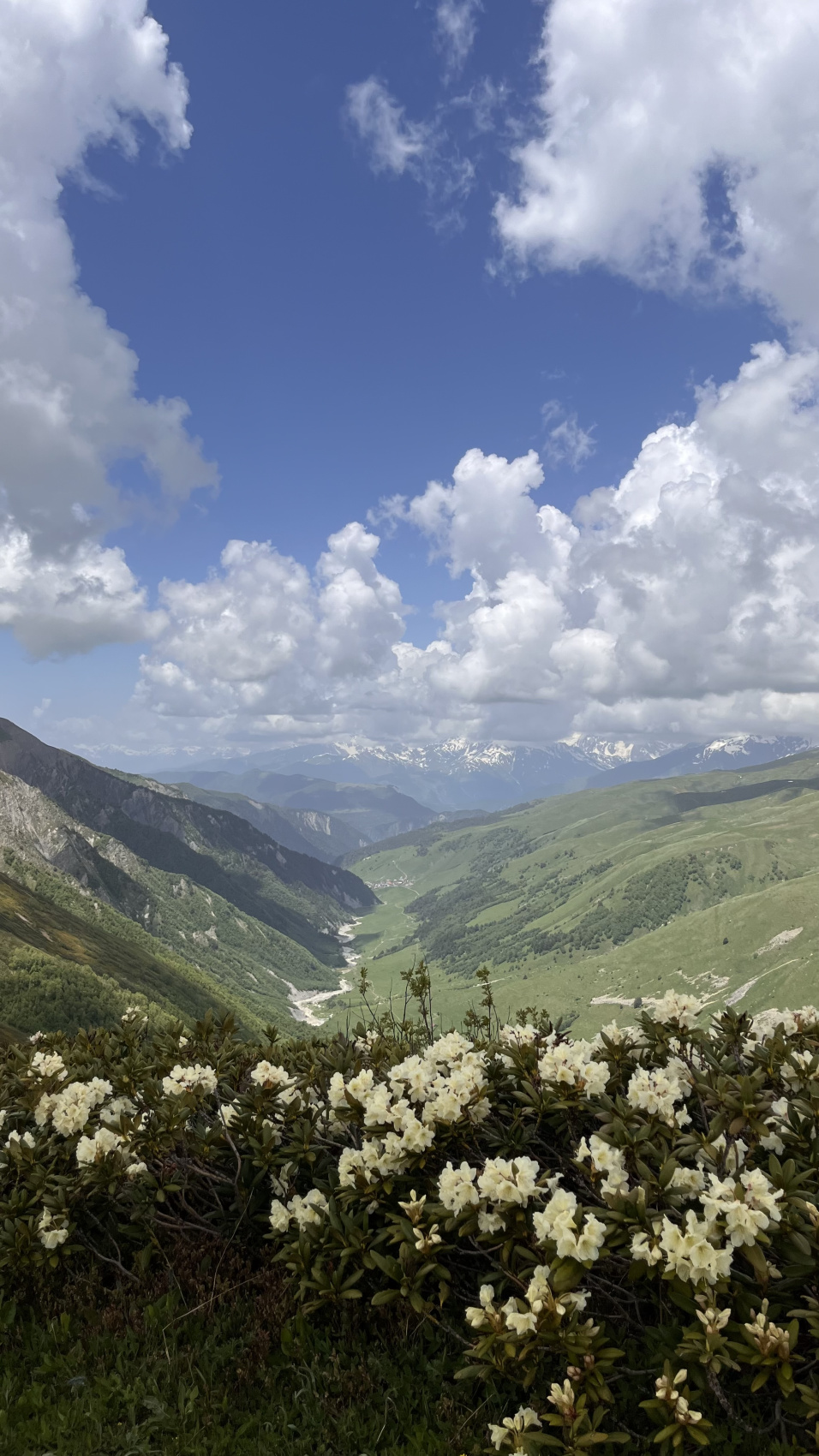 Сванетия. Горные трекинги с комфортом (31/70)