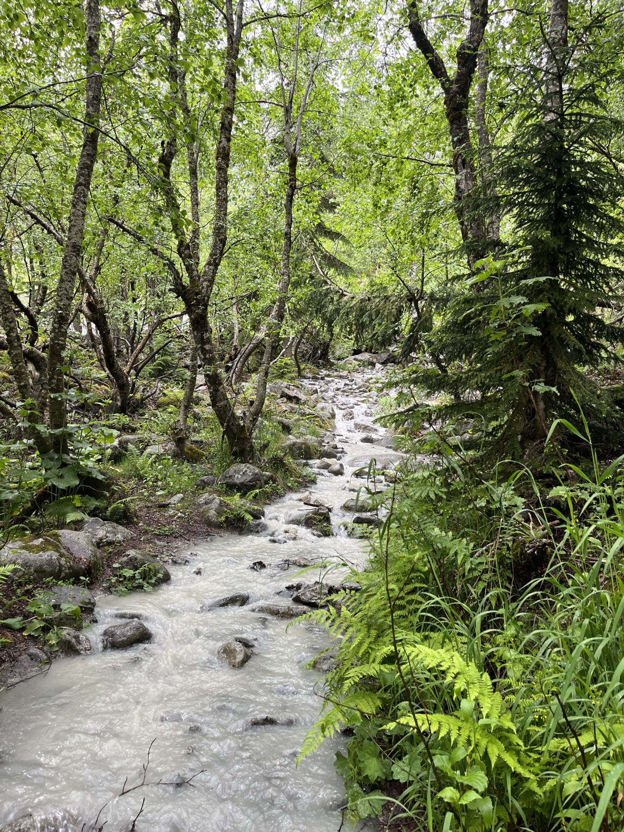 Сванетия. Горные трекинги с комфортом (24/70)