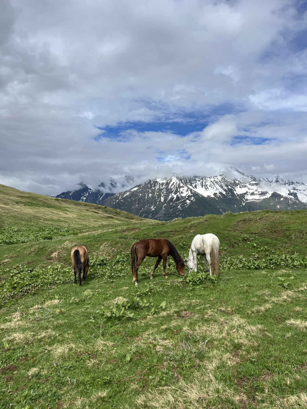 Сванетия. Горные трекинги с комфортом (10/70)