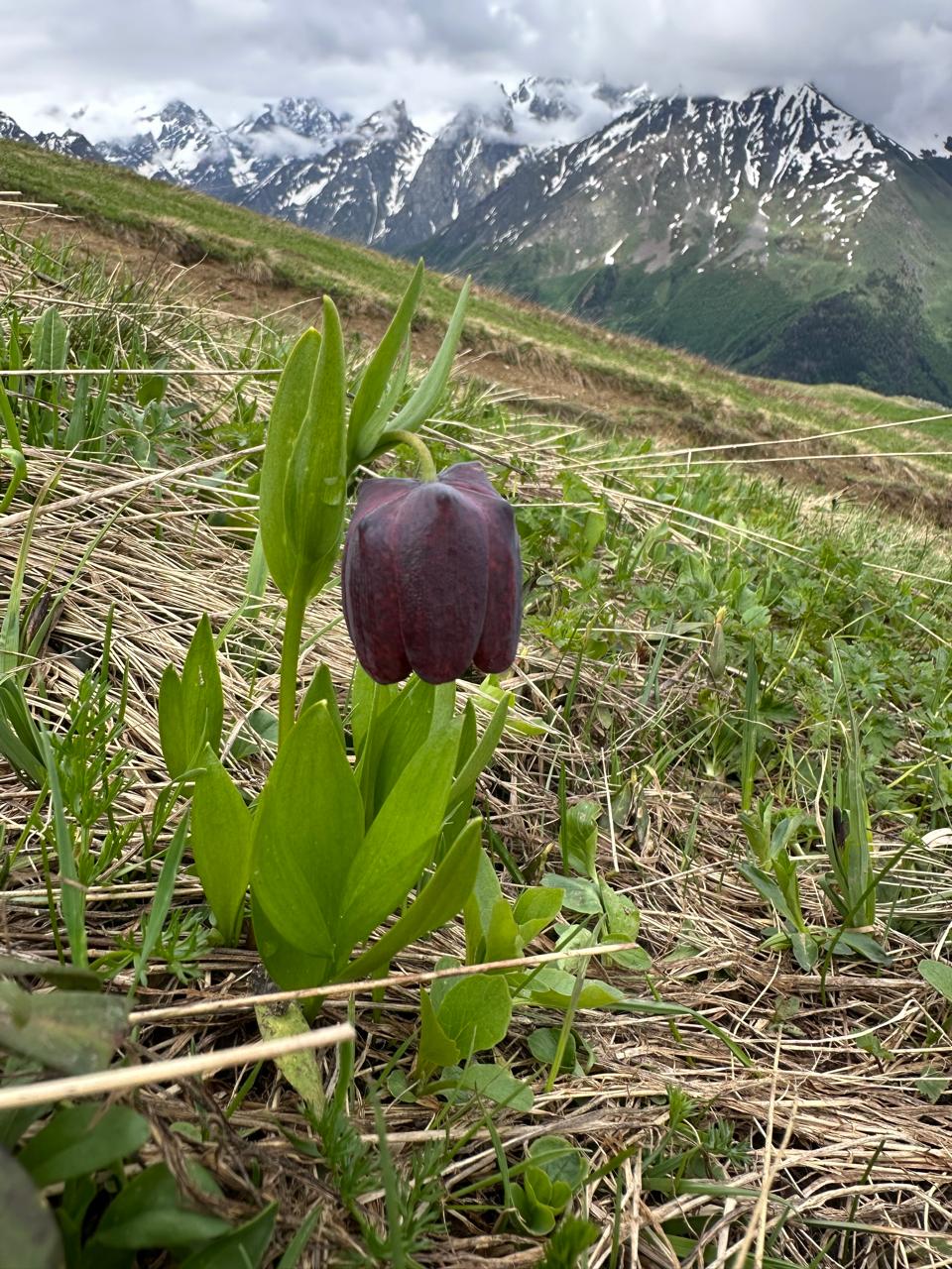 Сванетия. Горные трекинги с комфортом (6/70)