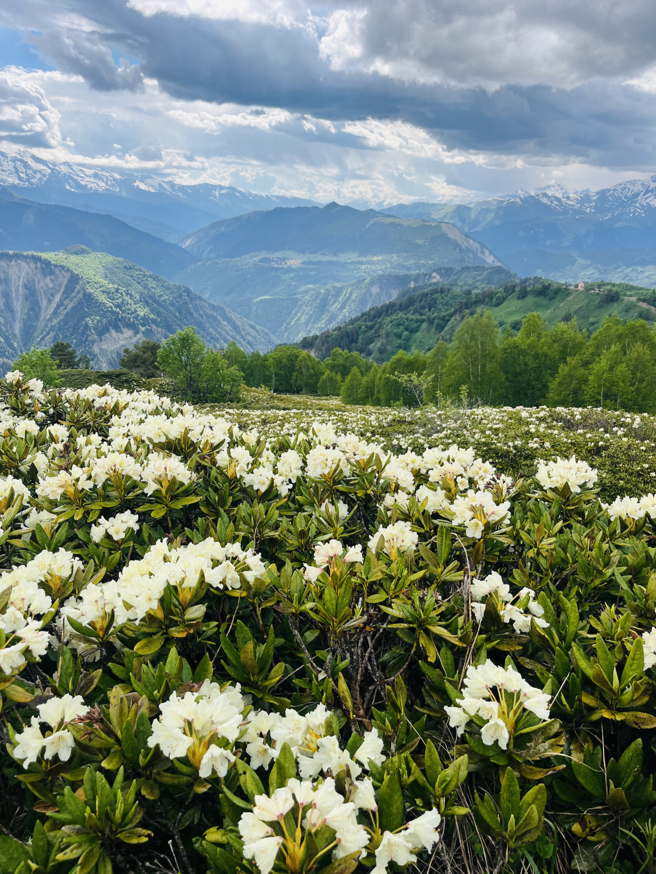 Сванетия. Горные трекинги с комфортом (35/70)