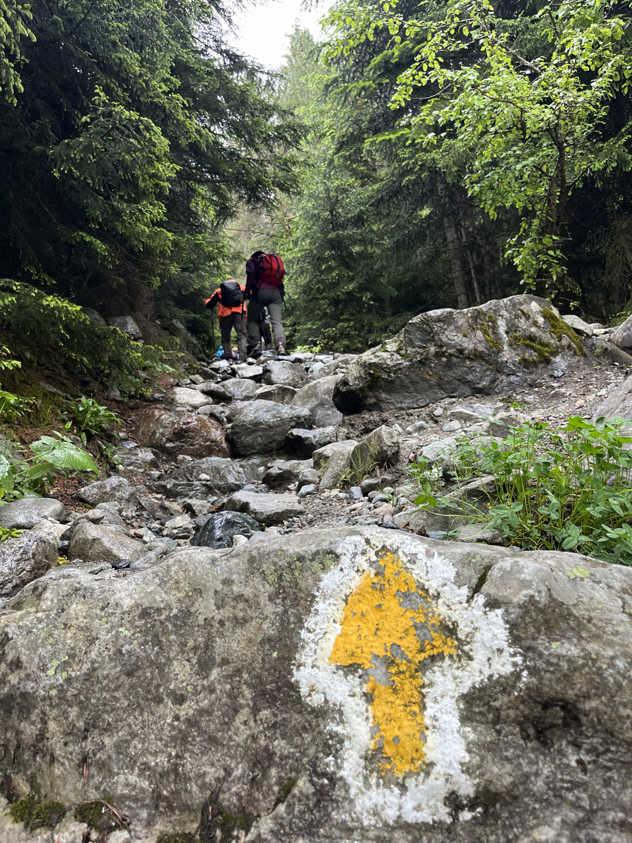 Сванетия. Горные трекинги с комфортом (25/70)