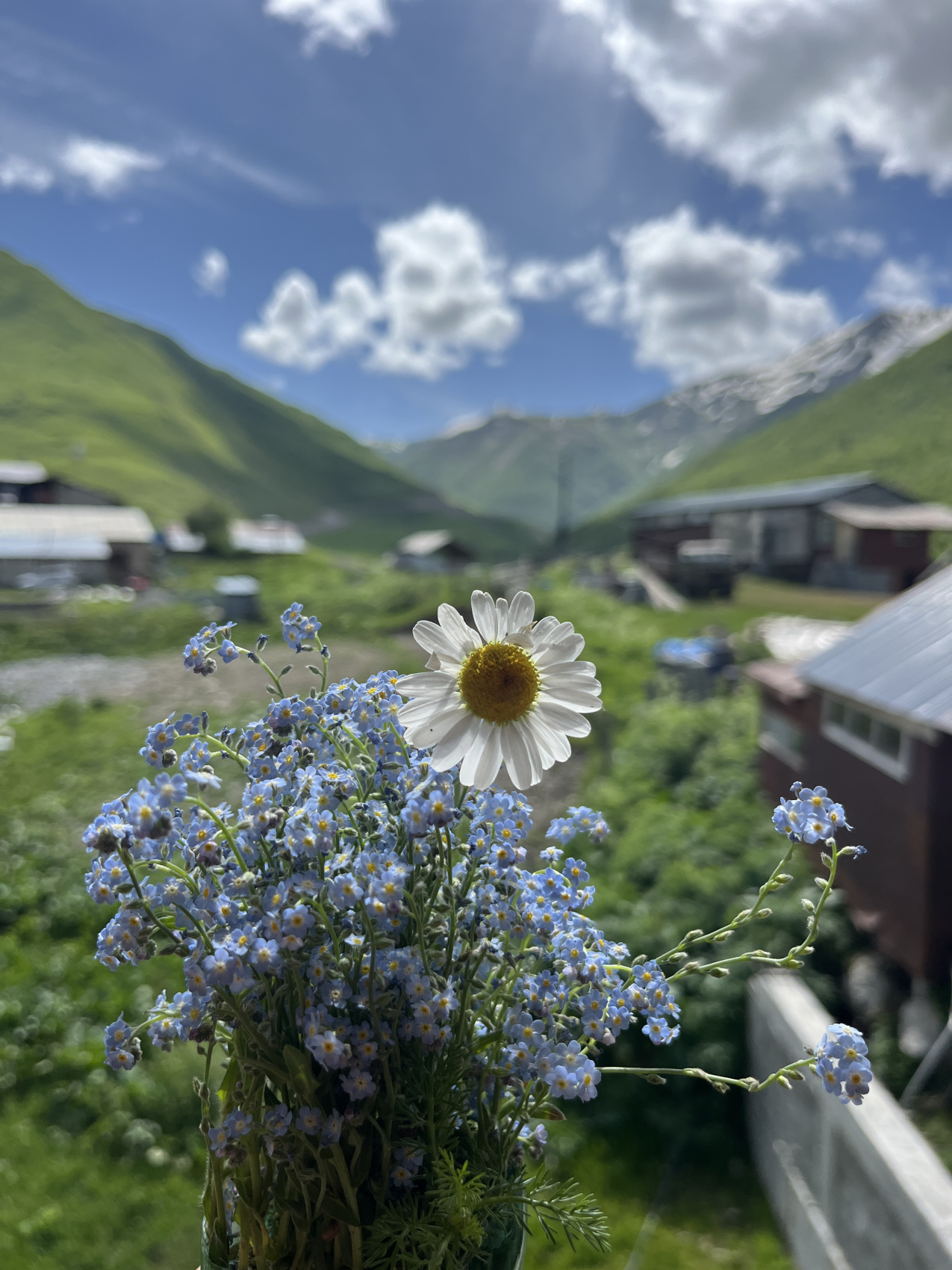 Сванетия. Горные трекинги с комфортом (26/70)