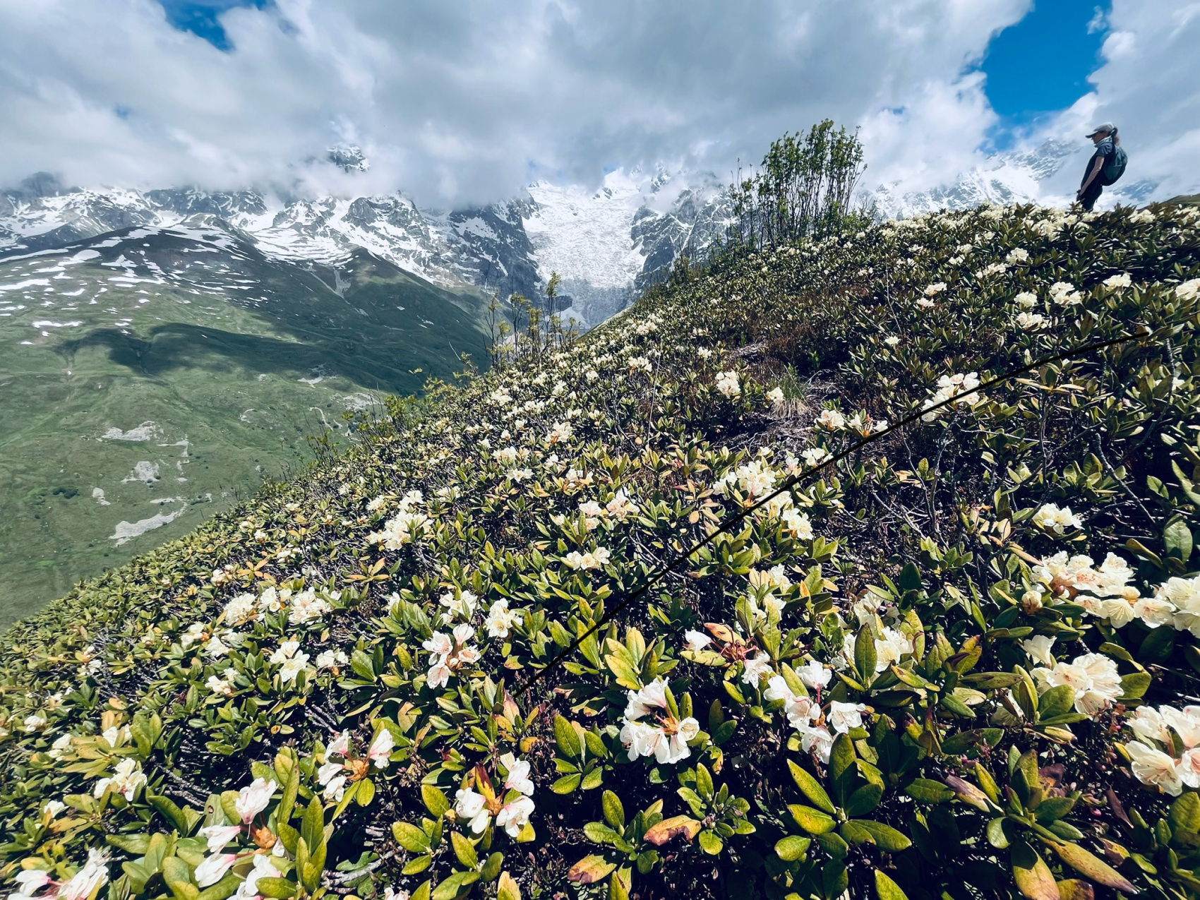 Сванетия. Горные трекинги с комфортом (28/70)