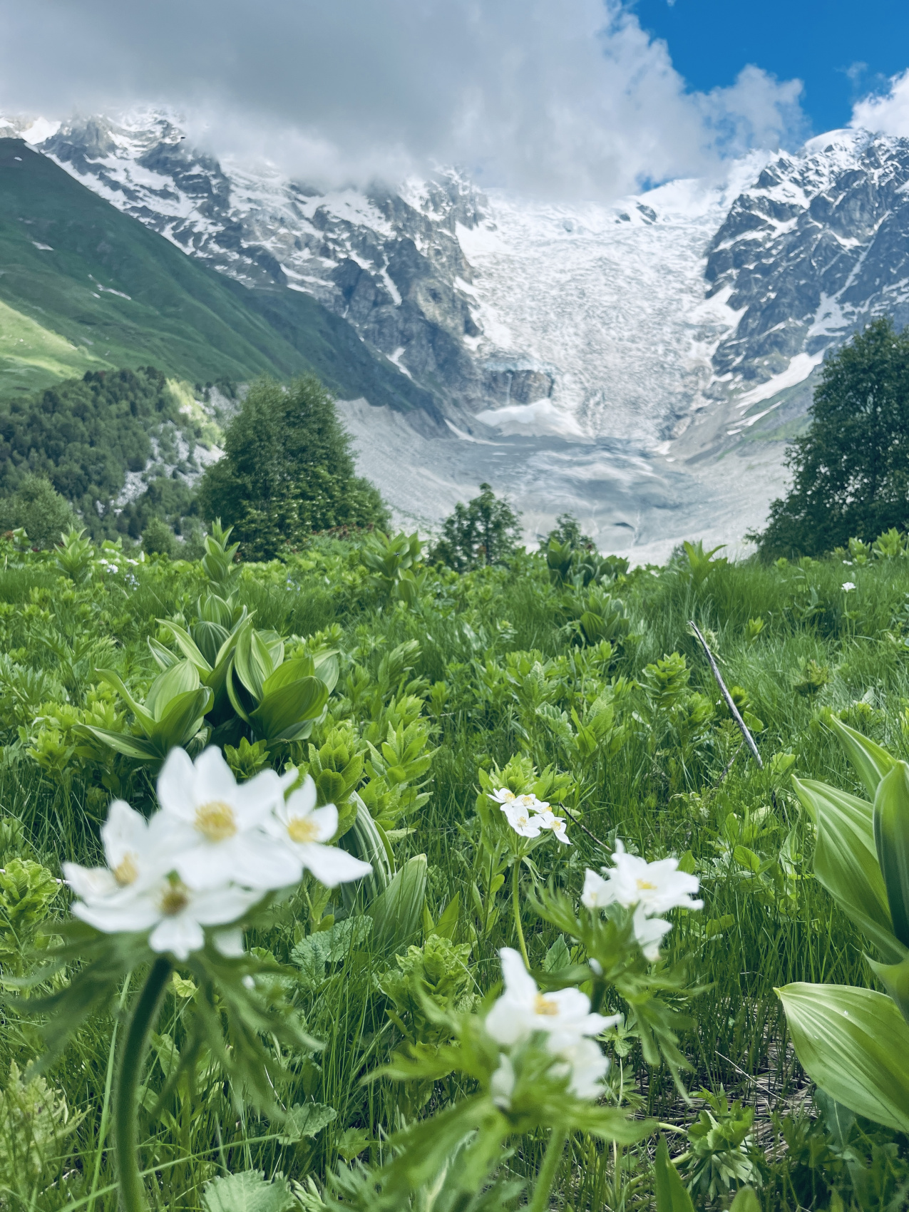 Сванетия. Горные трекинги с комфортом (32/70)