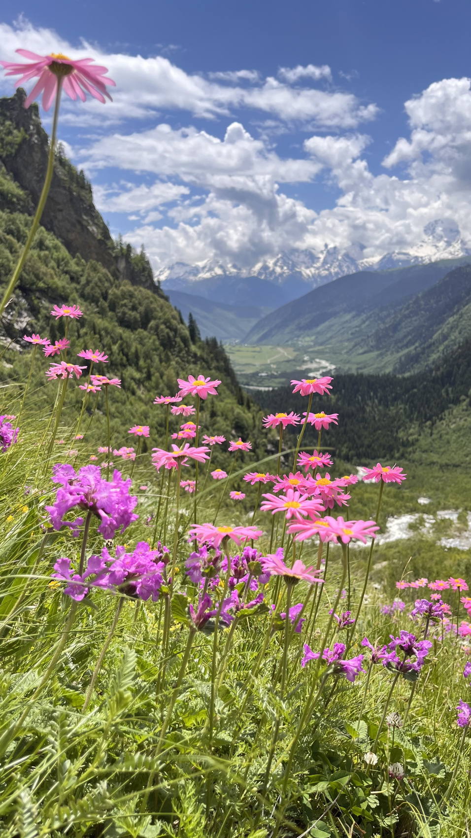 Сванетия. Горные трекинги с комфортом (36/70)