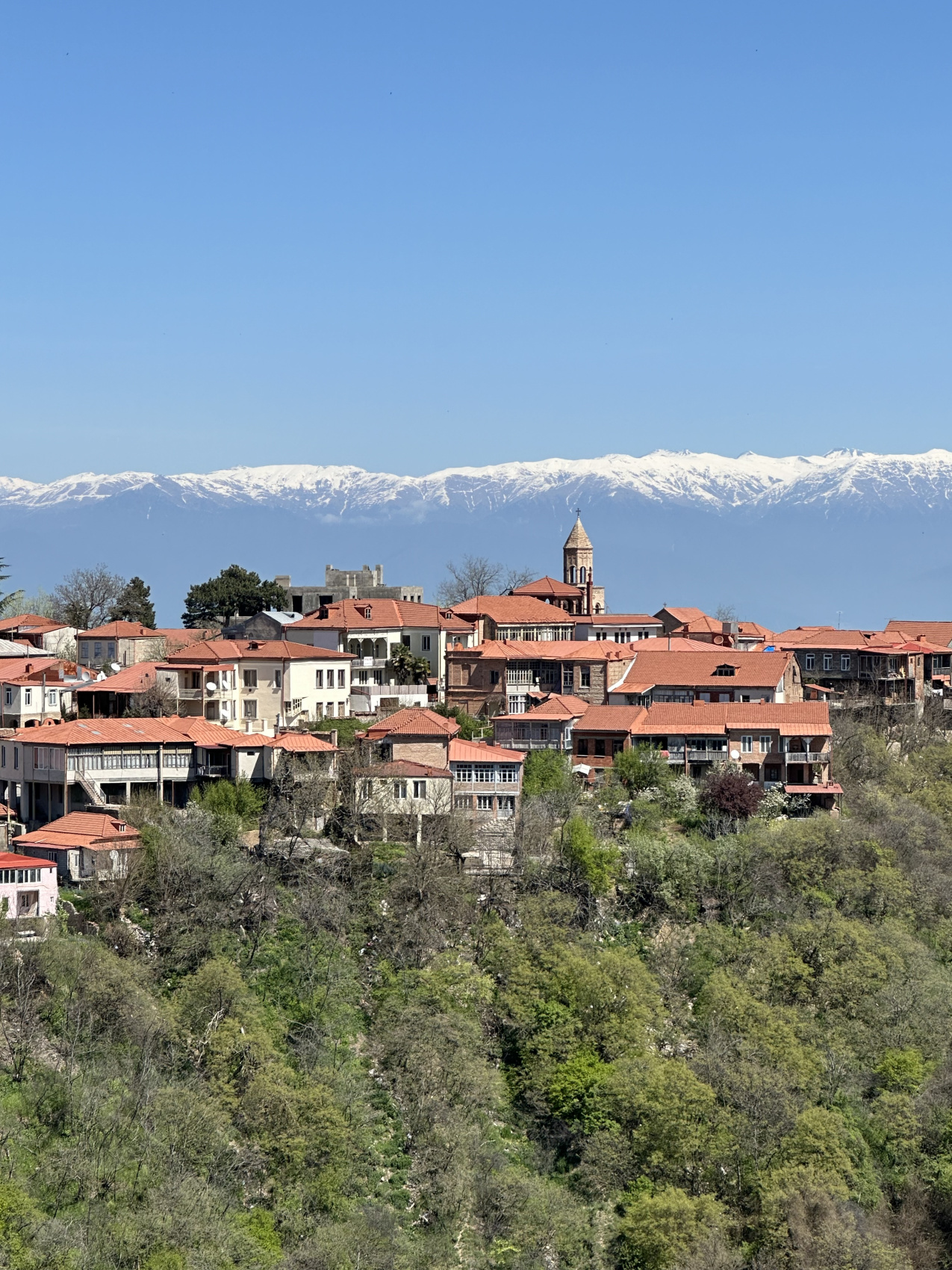 Гамарджоба, Грузия! Горы, история, вино. (14/34)