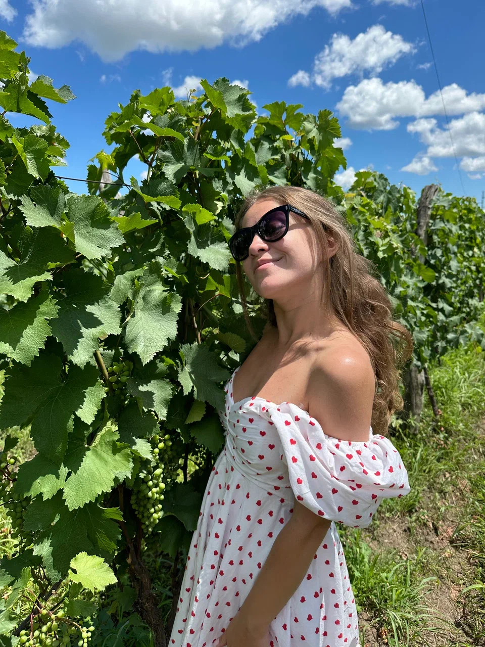 Гамарджоба, Грузия! Горы, история, вино. (9/34)