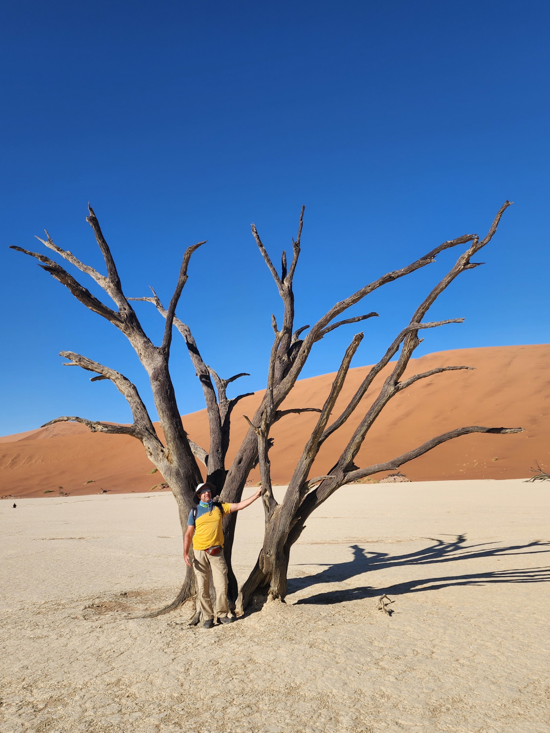 Джип-сафари: встреча с дикой природой Намибии (6/25)
