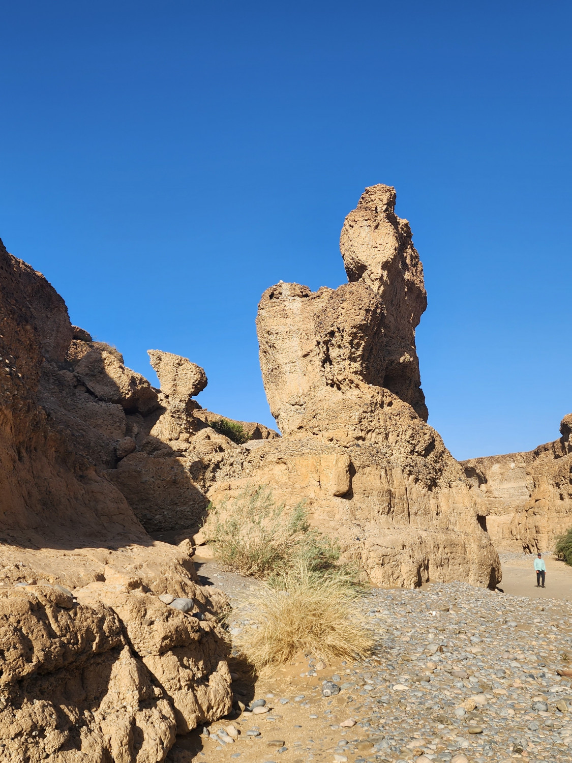 Джип-сафари: встреча с дикой природой Намибии (7/25)