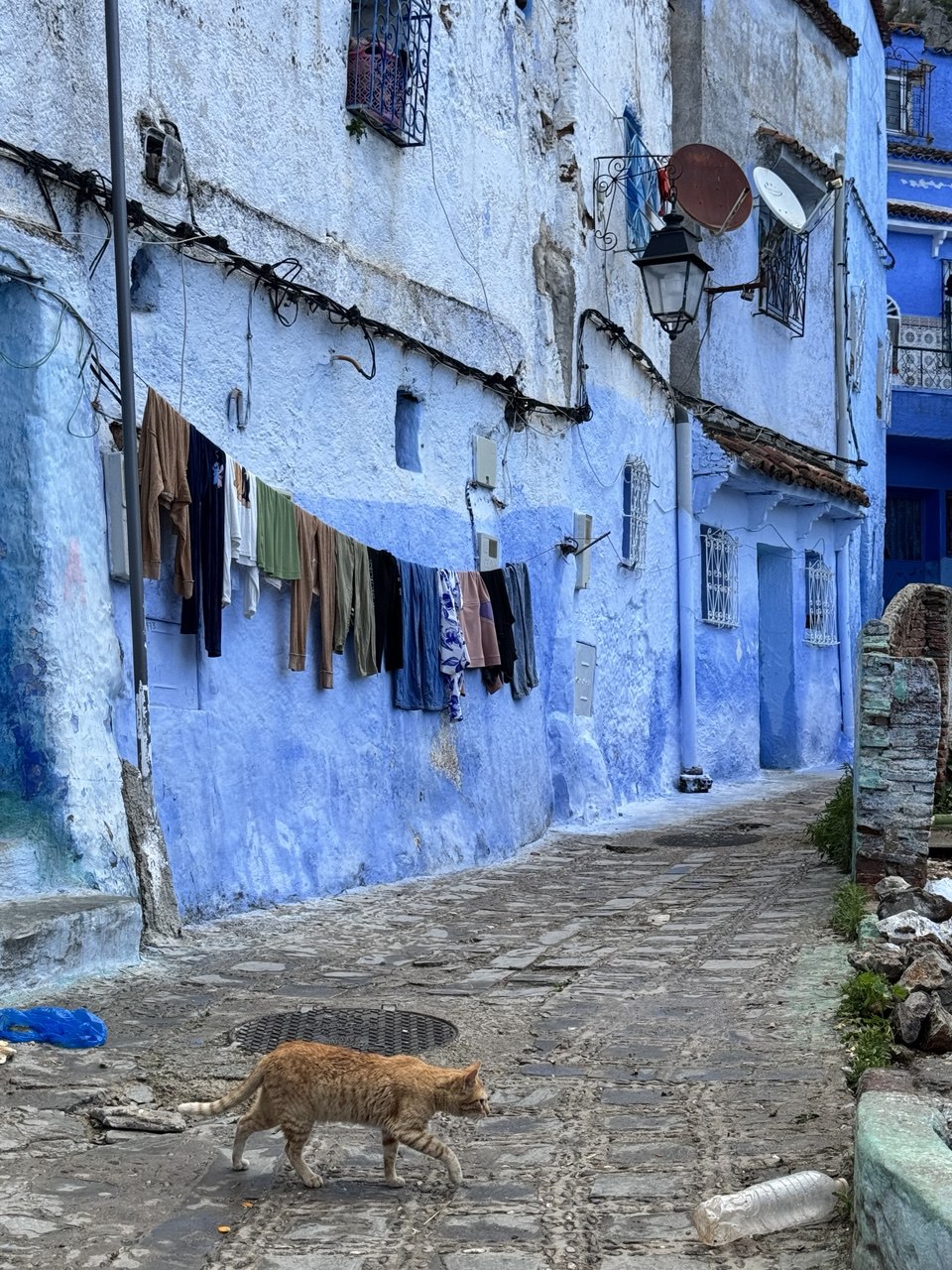 Большое приключение в Королевство Марокко (60/105)