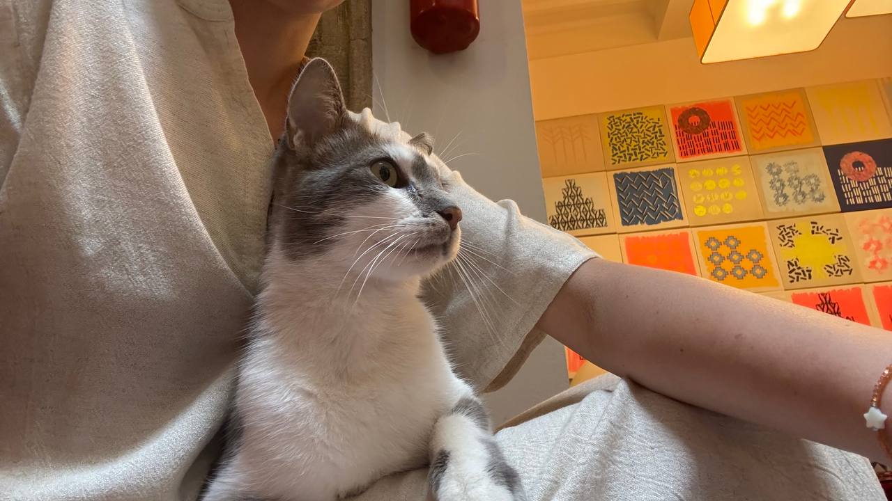 Большое приключение в Королевство Марокко (31/105)